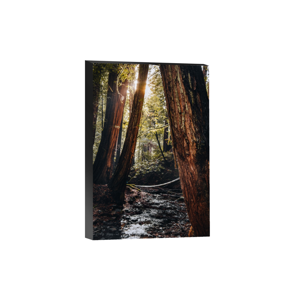 standout_rectangle2_3_346_0_3466_5200_0_false_ffffff_0_0.png