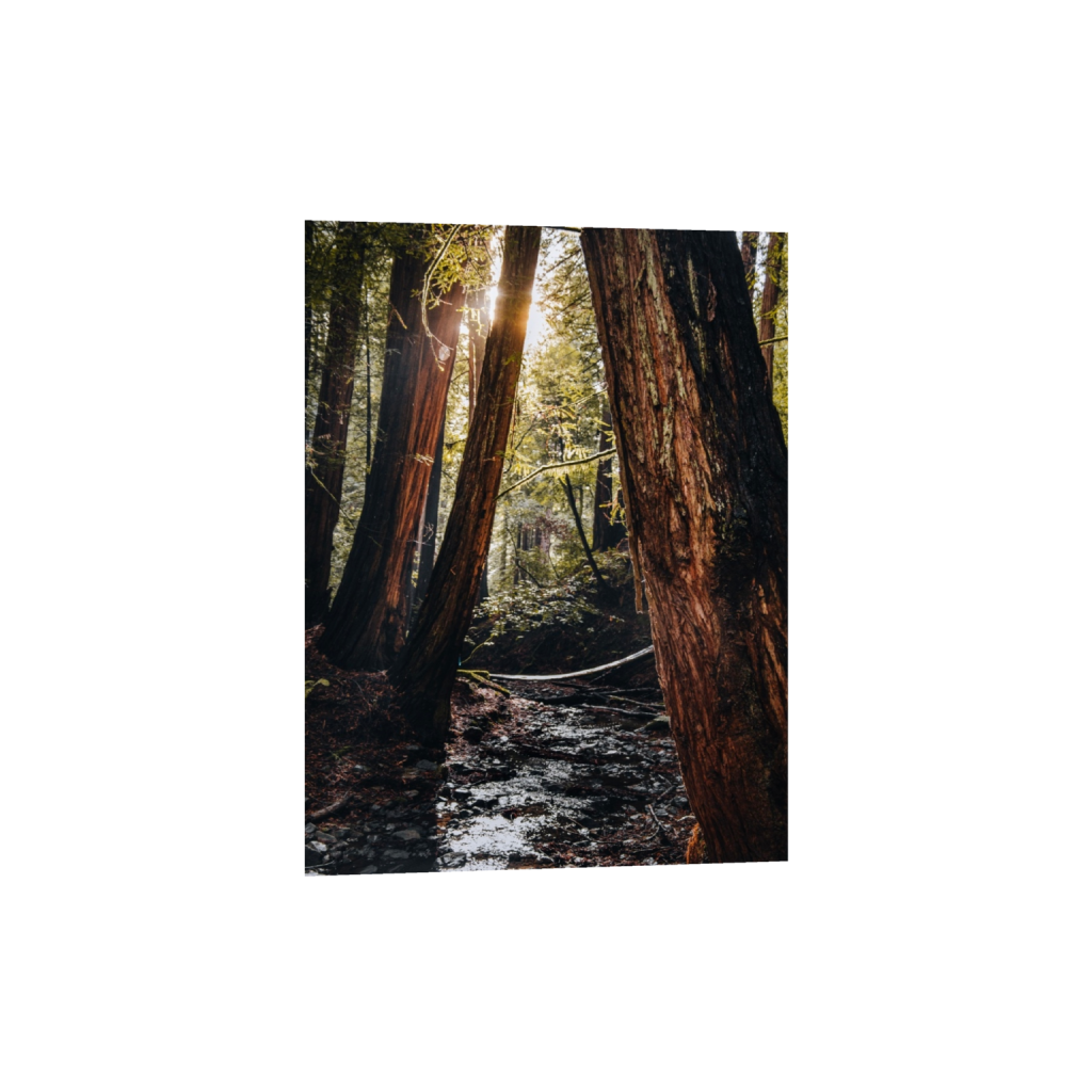 fineartprints_rectangle3_4_130_0_3900_5200_0_false_ffffff_0_0.png