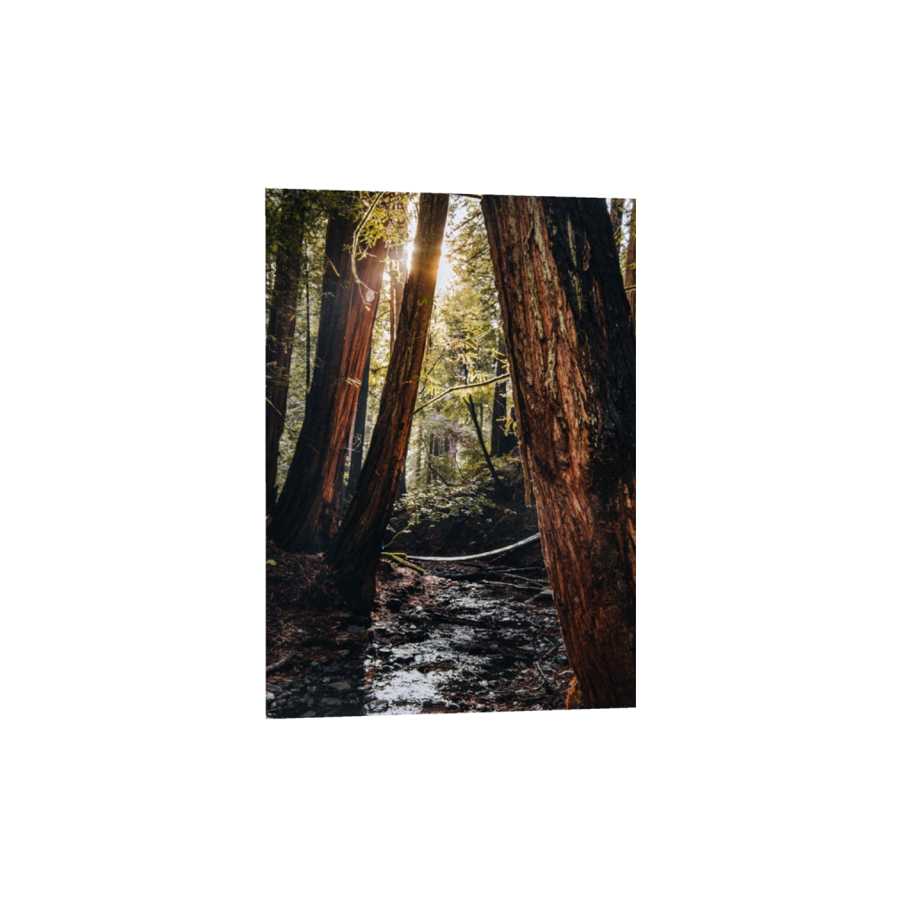 fineartprints_rectangle5_7_222_0_3714_5200_0_false_ffffff_0_0.png