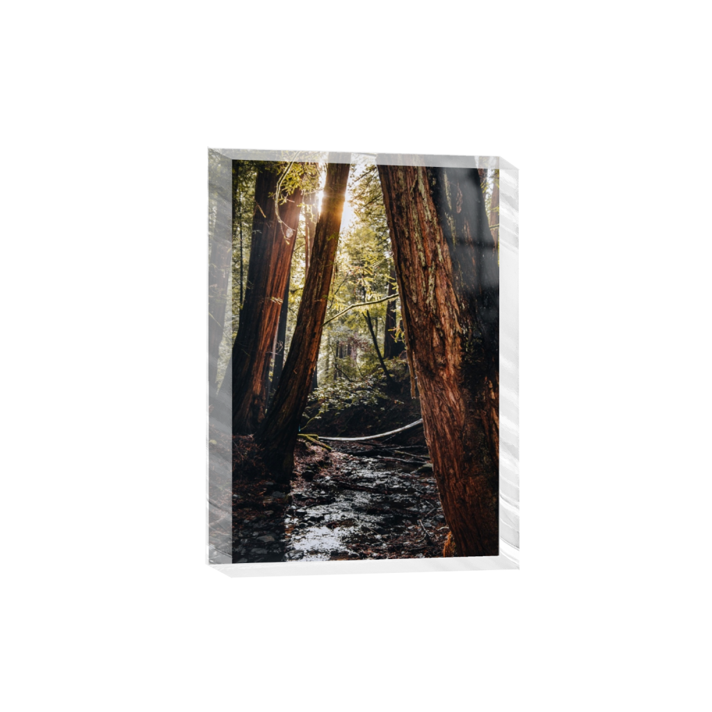 acrylicdesktopprint_rectangle5_7_222_0_3714_5200_0_false_ffffff_0_0.png