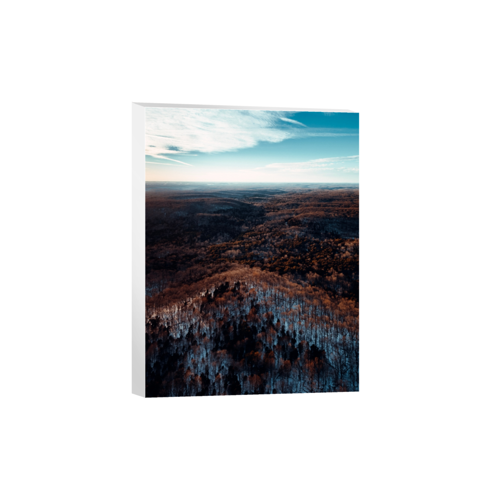 canvas_rectangle3_4_104_0_3140_4187_0_false_ffffff_0_0.png
