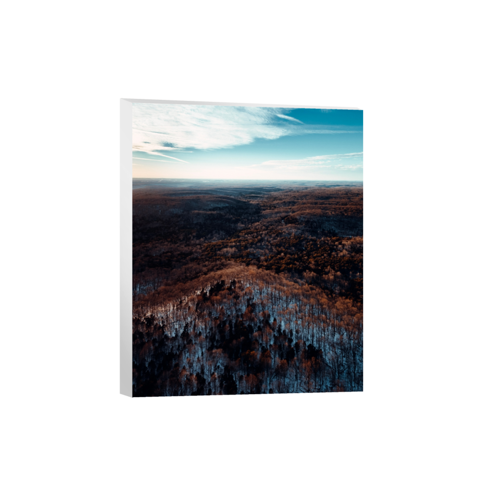 canvas_rectangle4_5_0_0_3349_4186_0_false_ffffff_0_0.png