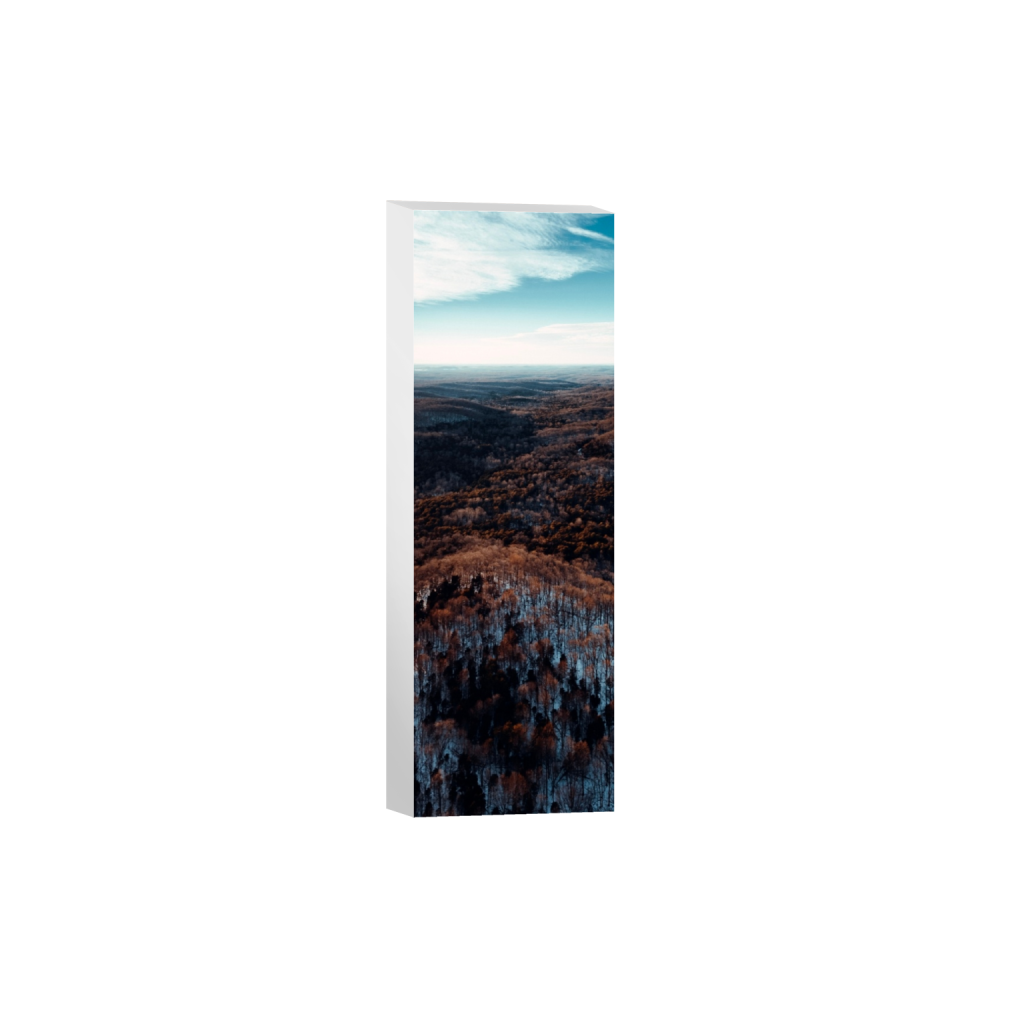 canvas_rectangle1_3_976_0_1395_4187_0_false_ffffff_0_0.png