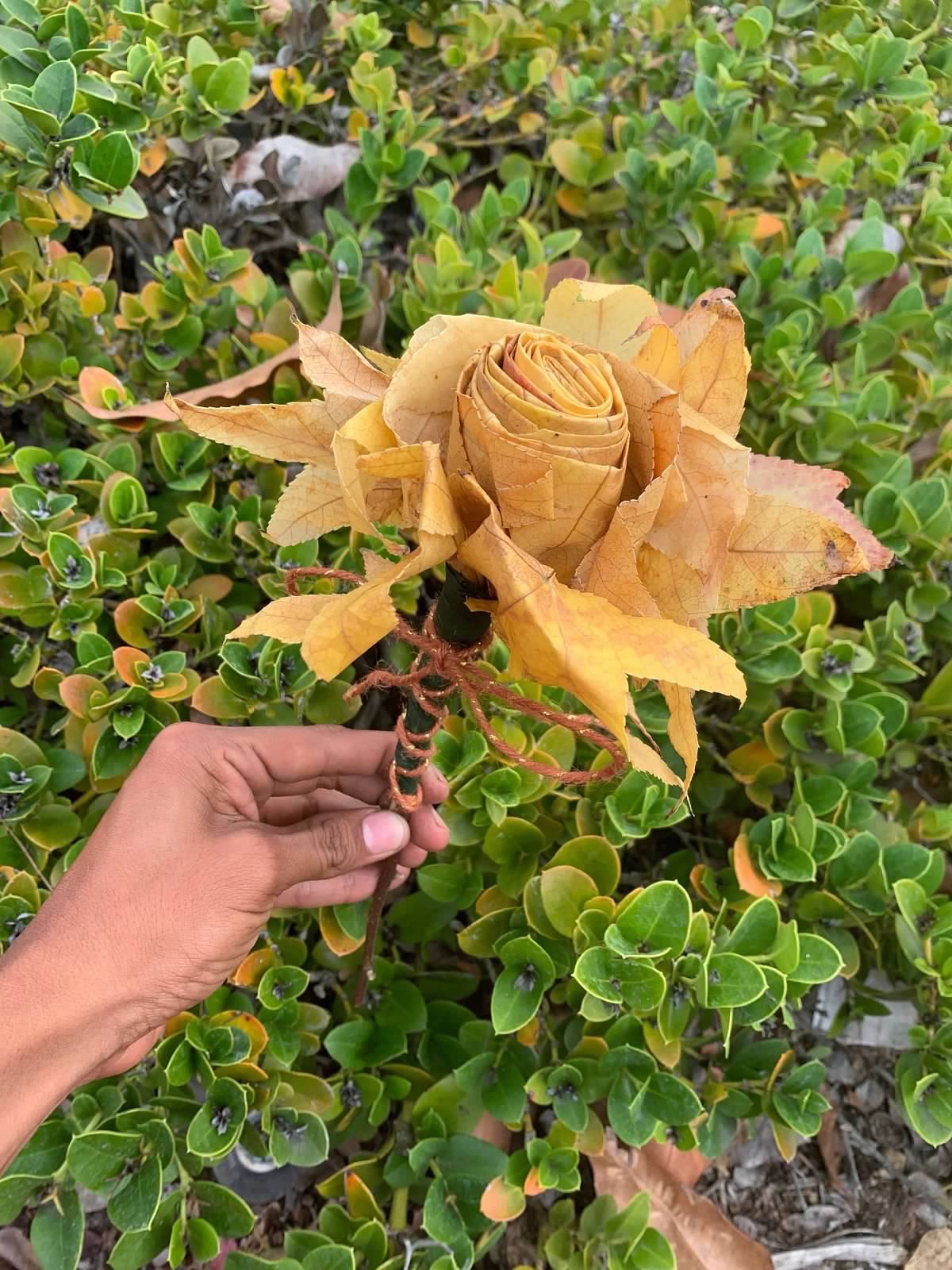 Garden Craft: Leaf Roses