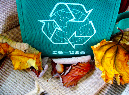 Bag Drive + Kid's Craft with the Girl Scouts