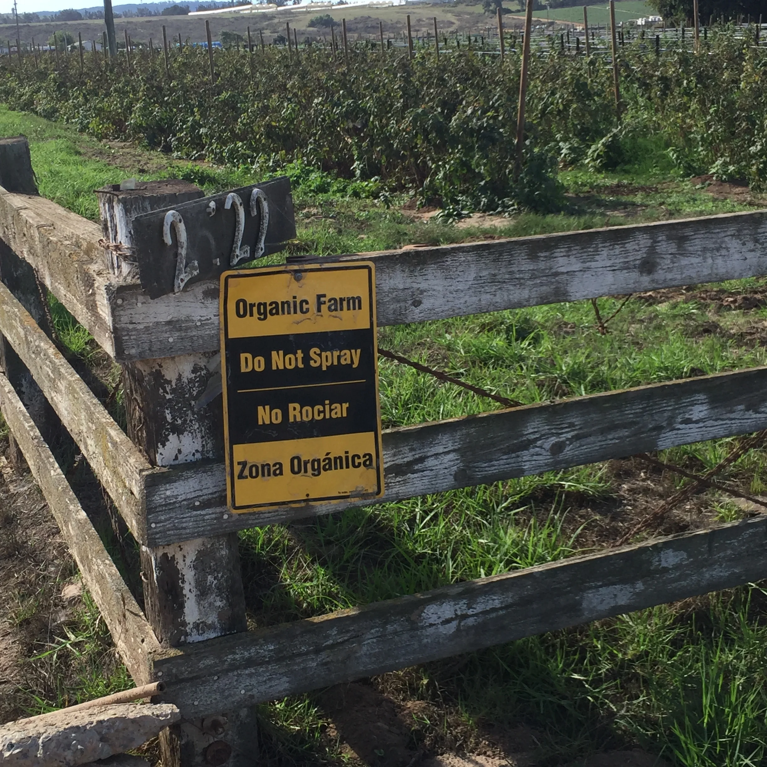 Rancho La Familia Organic Farm Tour