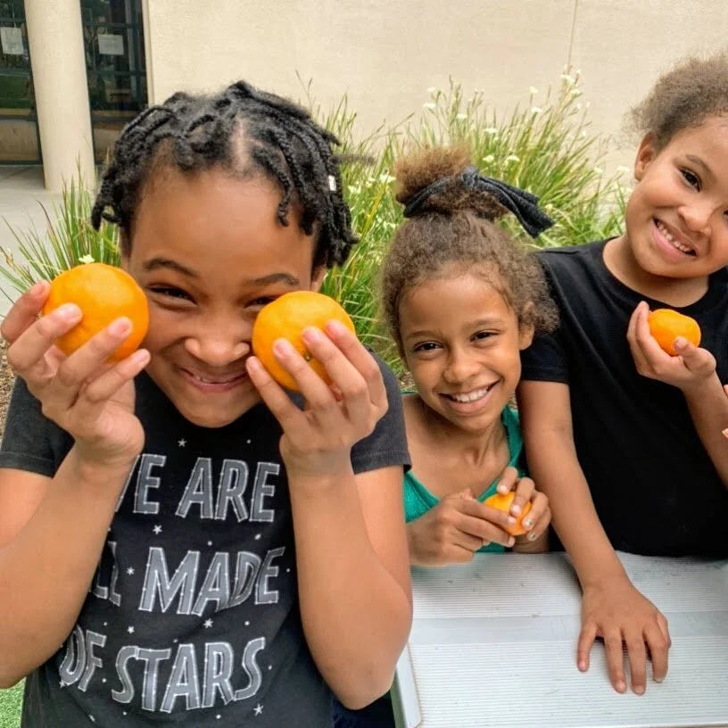 Volunteer Orientation: Help a Farmer, Help a Family (Copy)