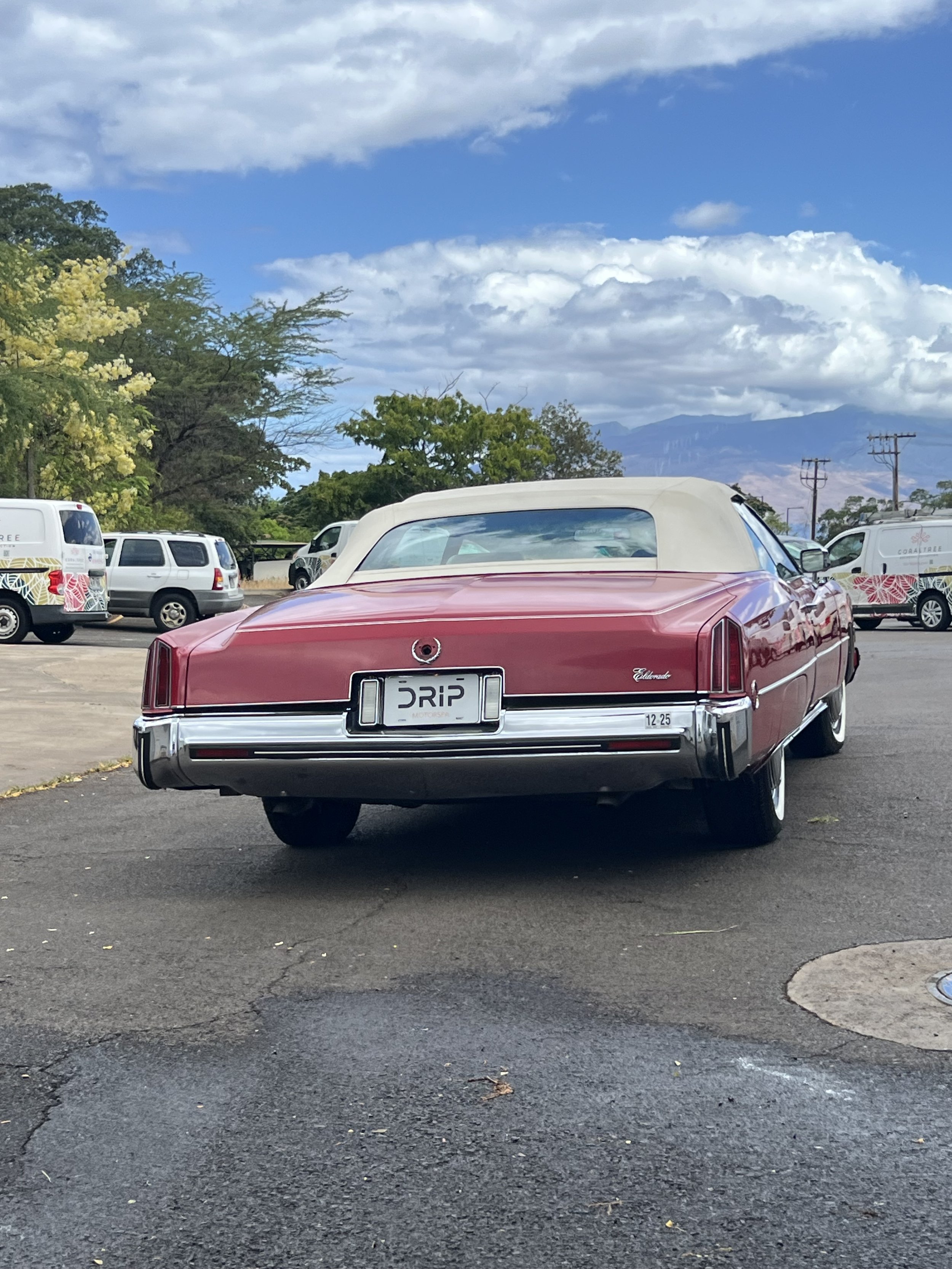 IMG_6088.jpeg