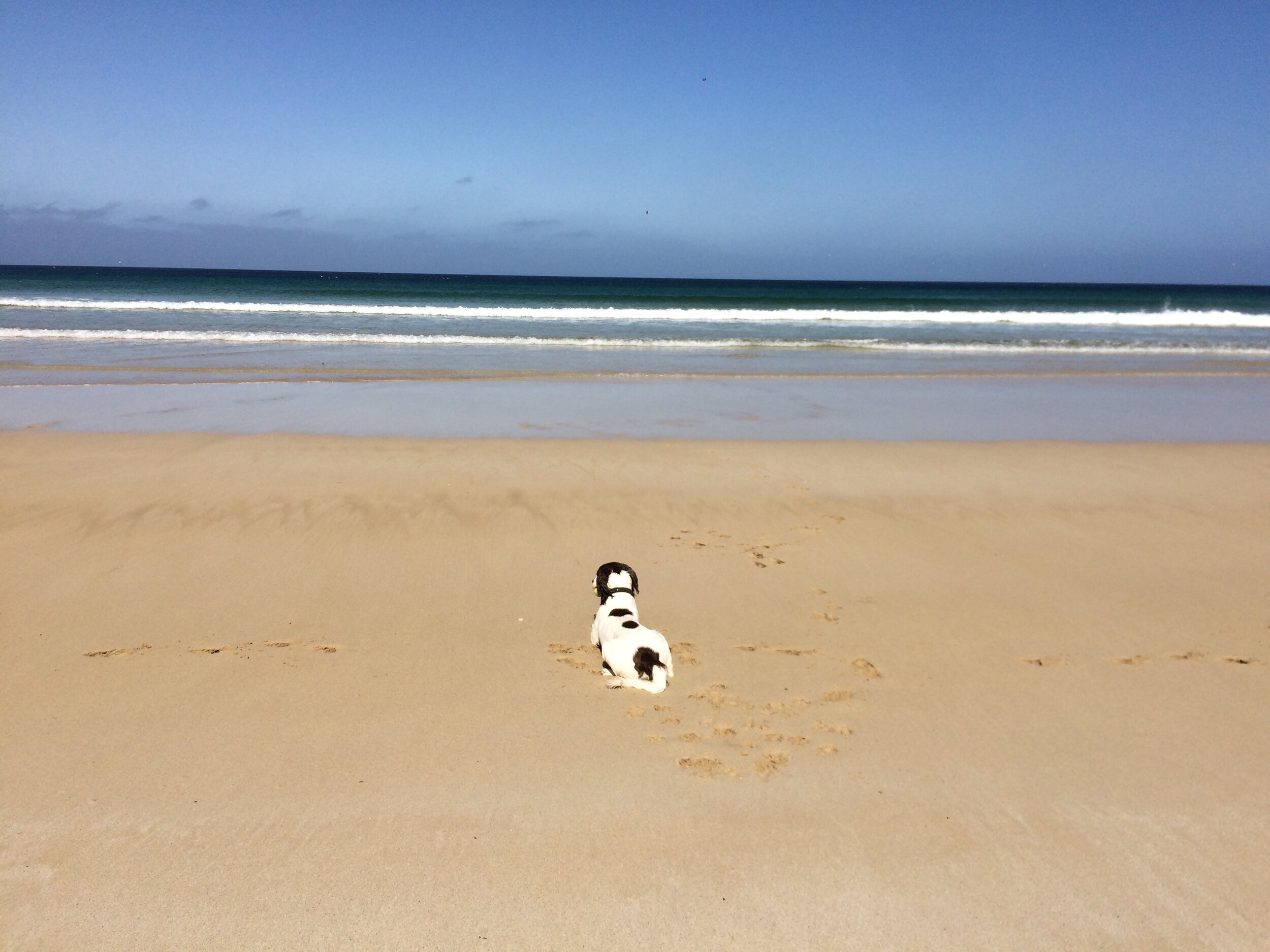 One gal and her pal, Tolsta Beach - Isle of Lewis