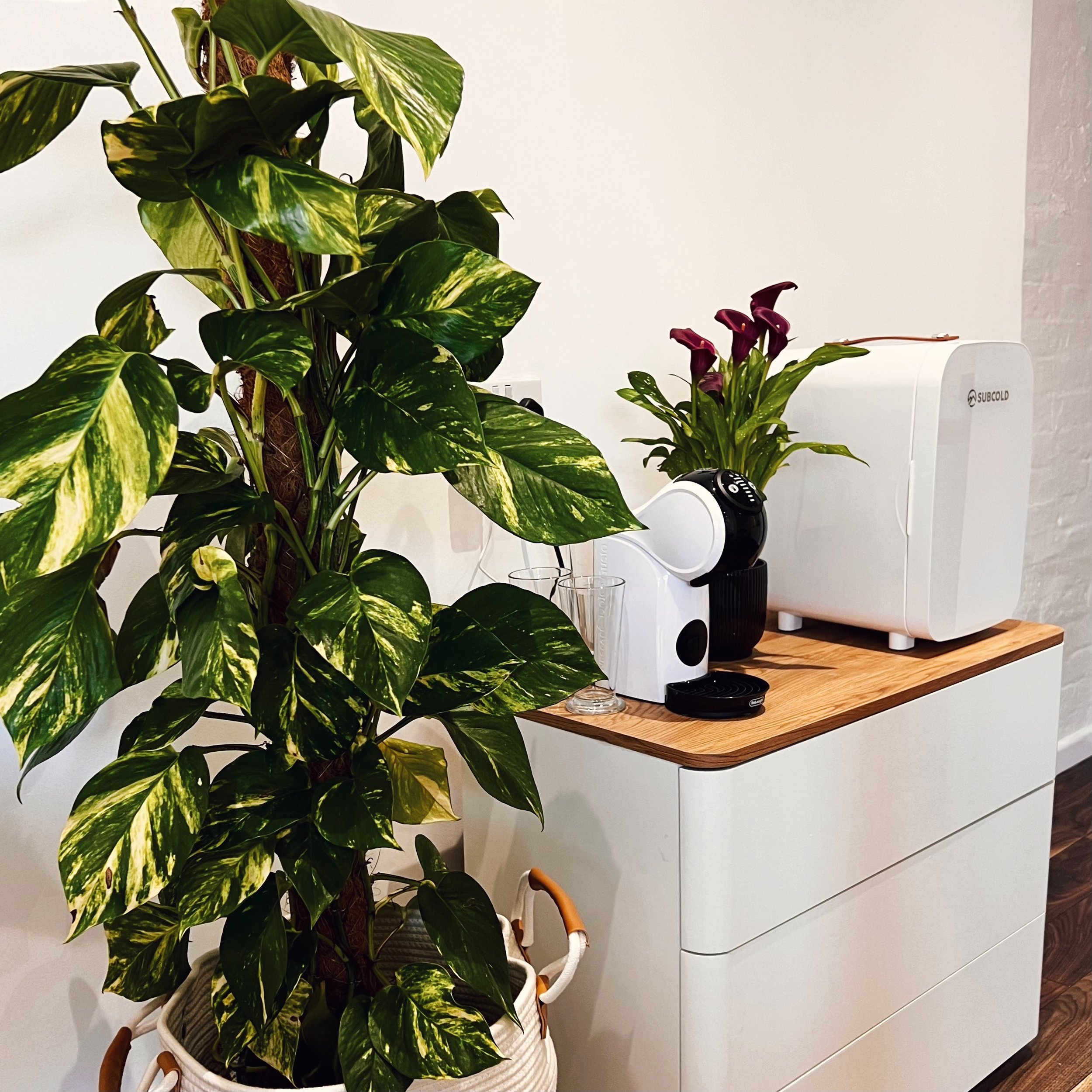 Decorative corner with leafy green plant, a smaller plant in a pot, and a coffee machine on a wooden top }