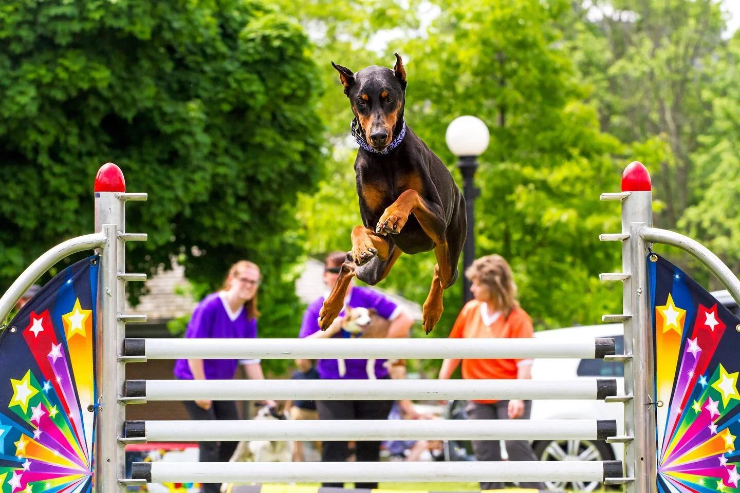 We&rsquo;re calling it SUPER SATURDAY! Don&rsquo;t miss the SuperDogs half-time show in-between polo matches 🐾❤️

General Admission tickets include a BBQ lunch, courtesy of the Aurora Lions Club. Picnic tables (non-reserved) and grandstand seating i