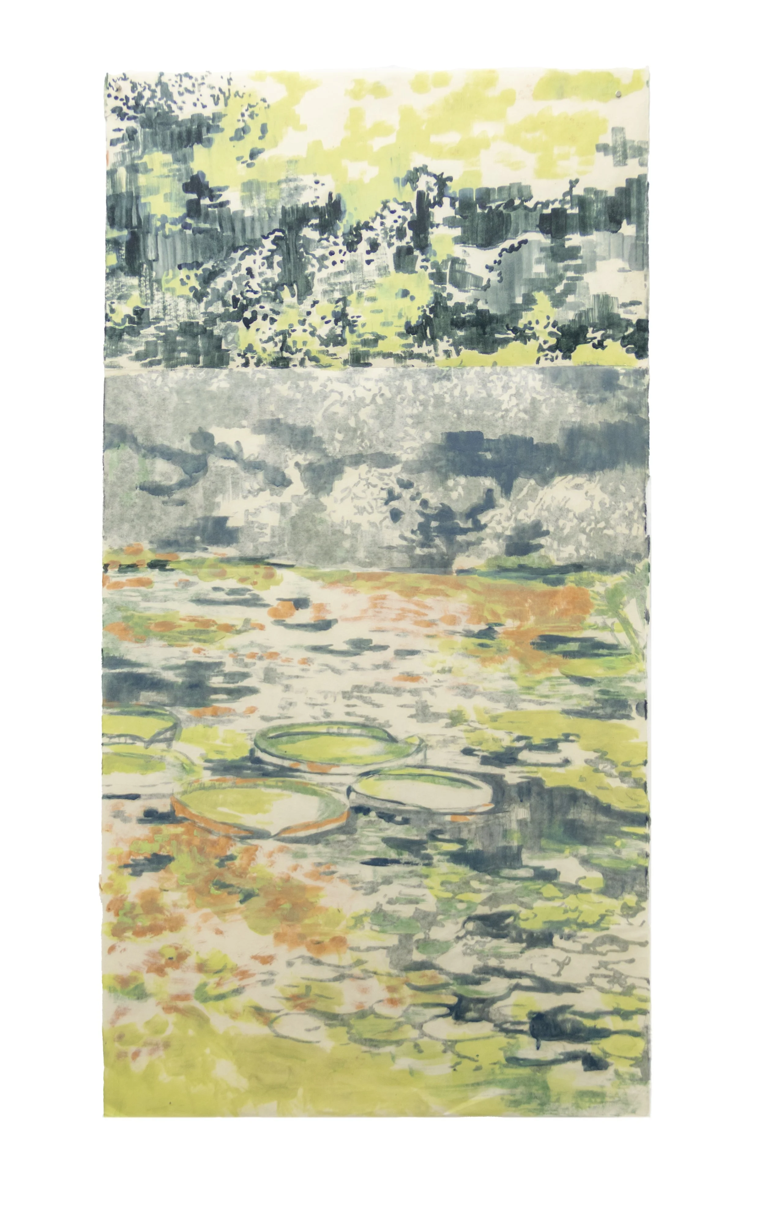Lírio-d’água (2025), Série: Herbário, Óleo sobre papel Awagami Kitaka, 97 x 50 cm. Vista por ambas as faces.