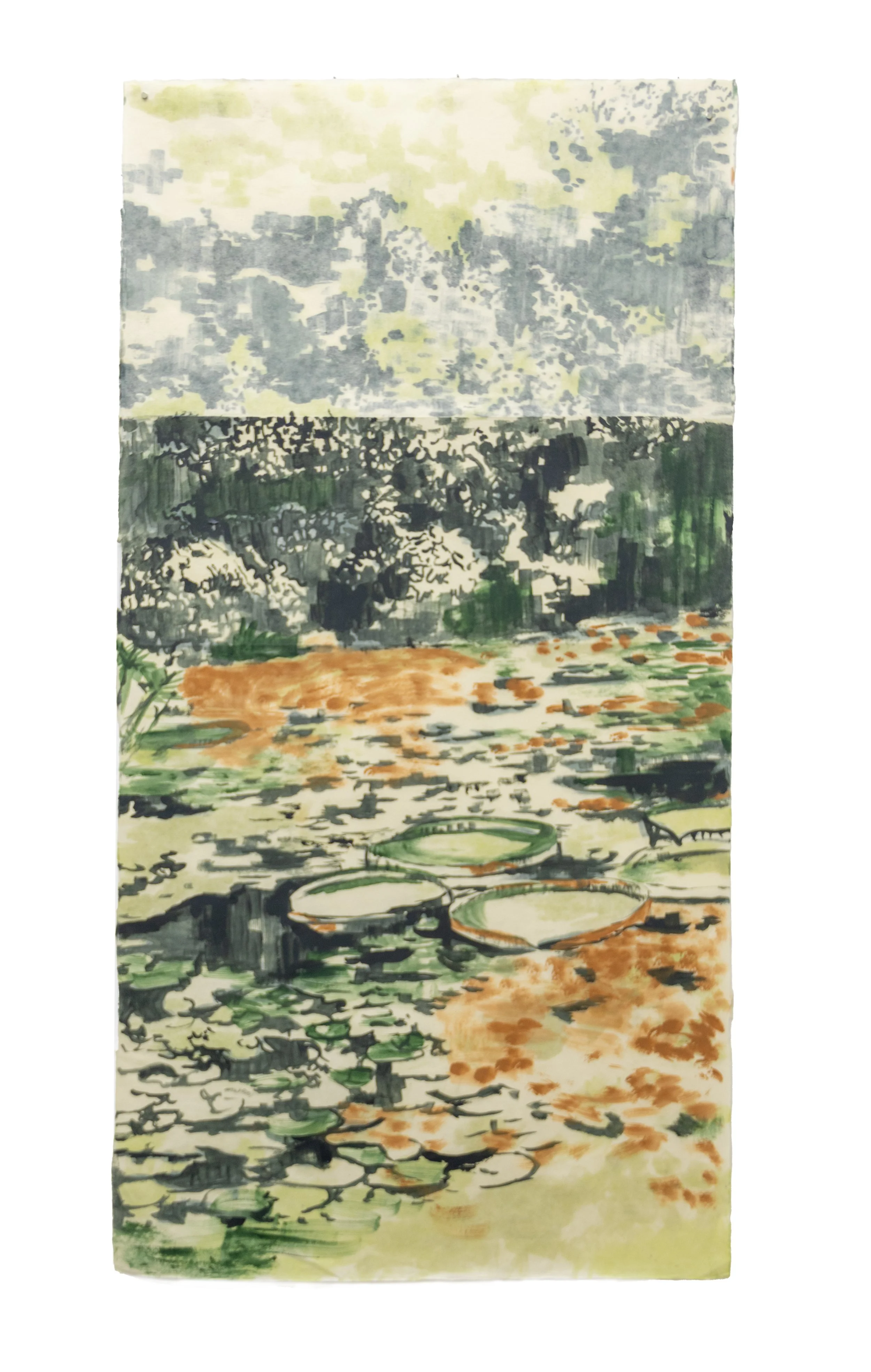 Lírio-d’água (2025), Série: Herbário, Óleo sobre papel Awagami Kitaka, 97 x 50 cm. Vista por ambas as faces.