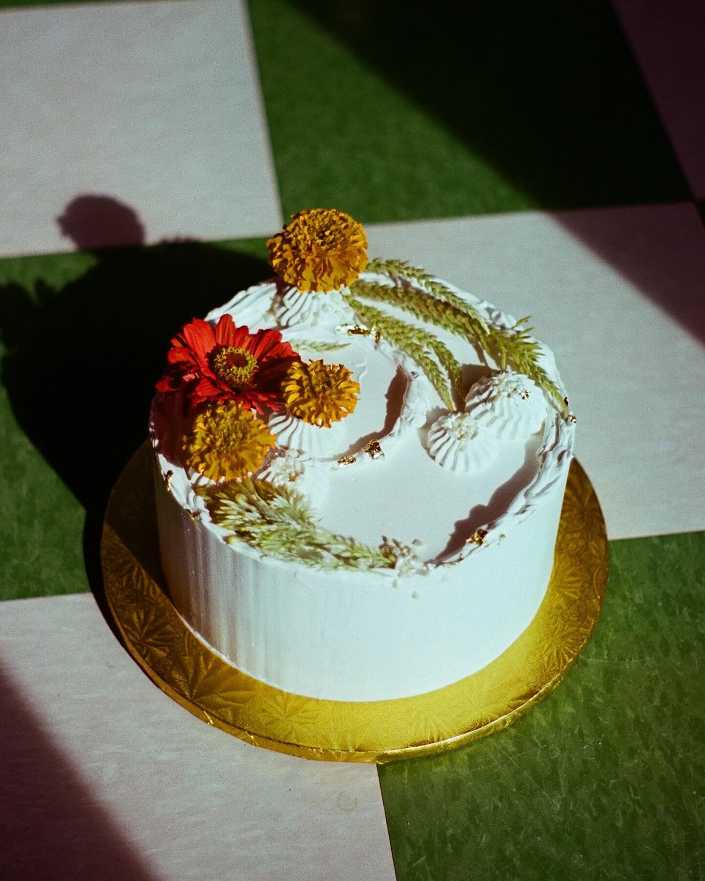 Elizabeth&rsquo;s wedding cakes from September @moradajoshuatree never shot these with my phone, just with Dad&rsquo;s old Pentax and the first roll turned out PRETTY🥹🎞️