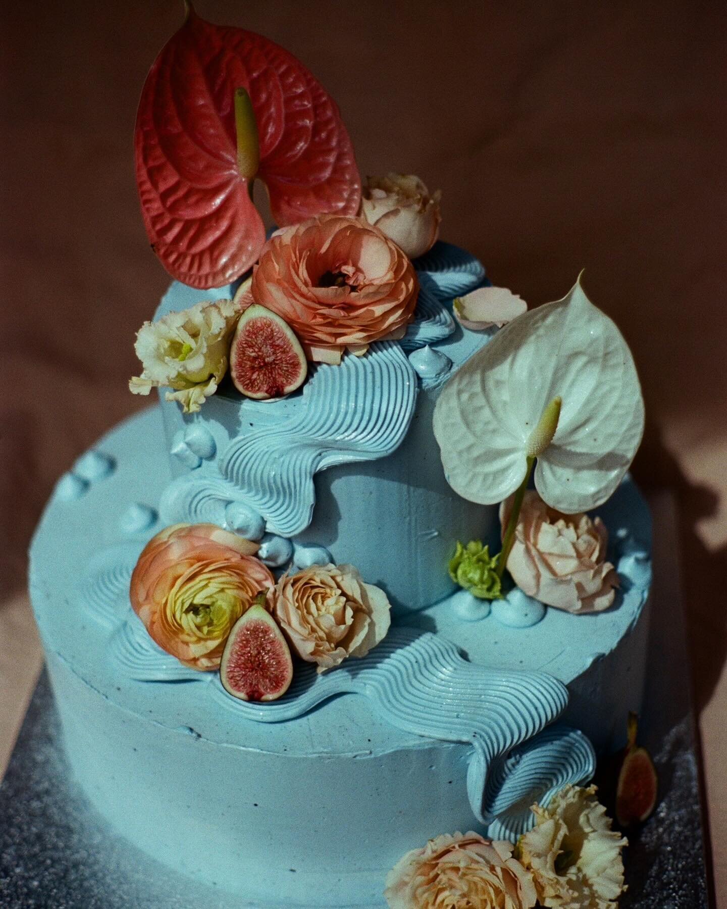 first roll of film out of the new camera slaps🤌🏼🥹Favorite cake of the year, and boy did those colors truly pop off that much irl. Dusky blue, fleshy florals and figs💙🩵🤍