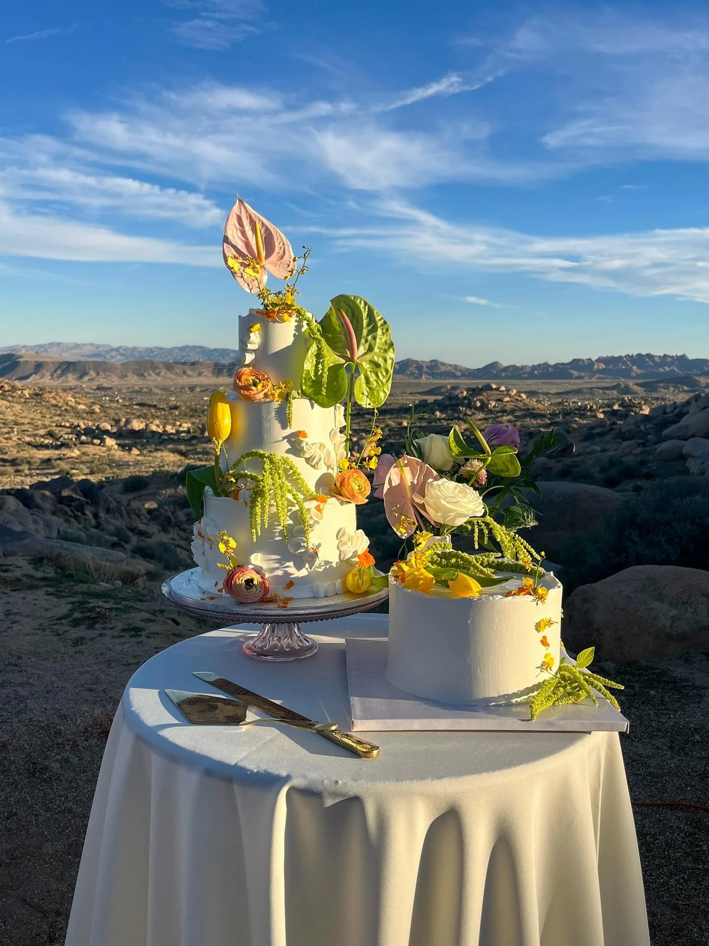 Didn&rsquo;t get time to shoot this one in the studio, turns out didn&rsquo;t matter cos look at this for a bloody backdrop amirite holy smokes!!! EARTH&hellip;UNREAL!!! For Laura &amp; Eric, 15 mins from my kitchen, in the most magical place on eart
