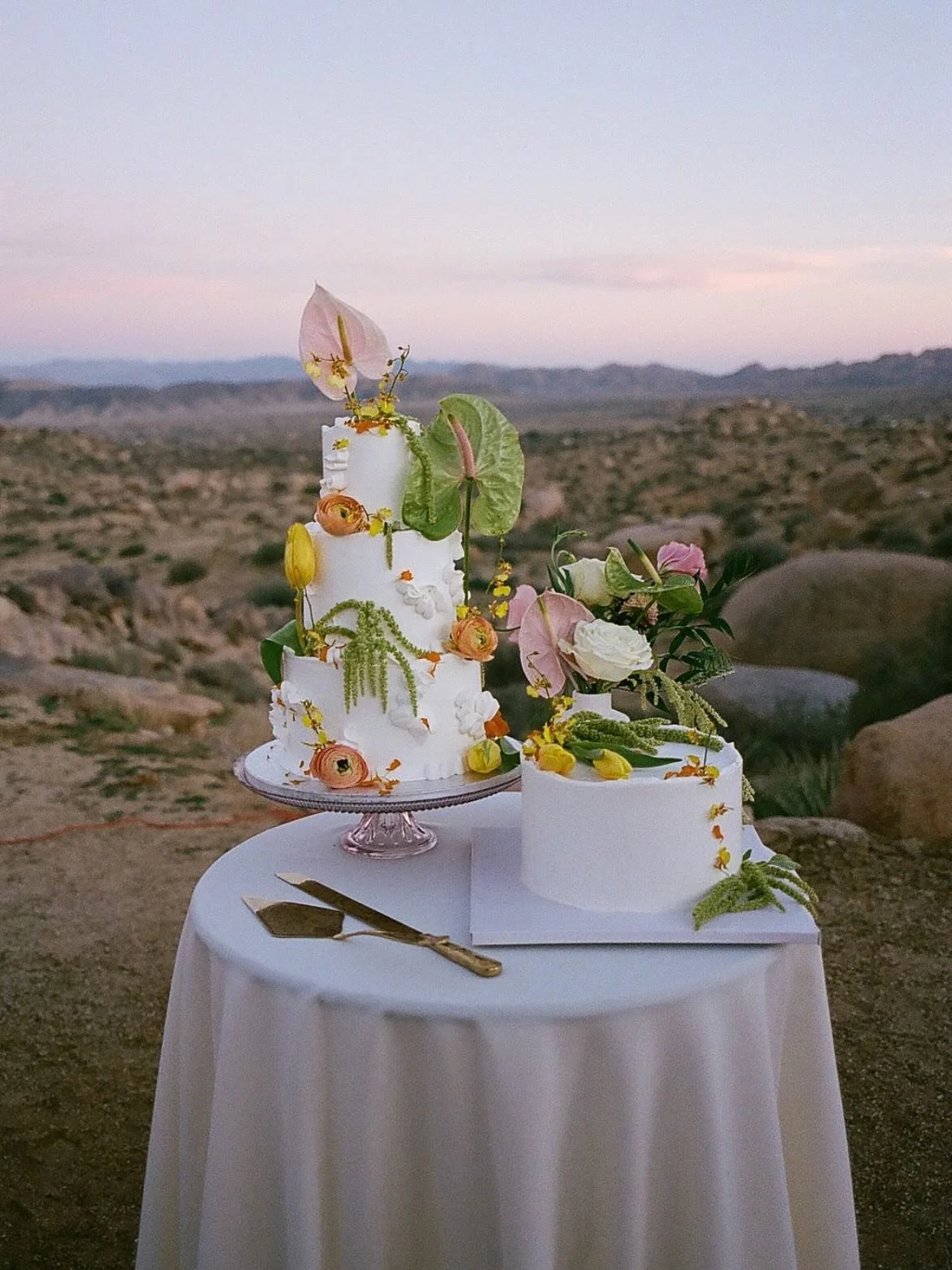 I MEEEAN OKKKKK😭😭😭🌸🌸🌸🏜️🏜️🏜️🥹🥹🥹THESE PHOTOSSSS by @kaybebephotography for Laura &amp; Eric. One of my fav views in the world. The road there is gnarly but that&rsquo;s why ya build a cake like a building about to go through a series of ear