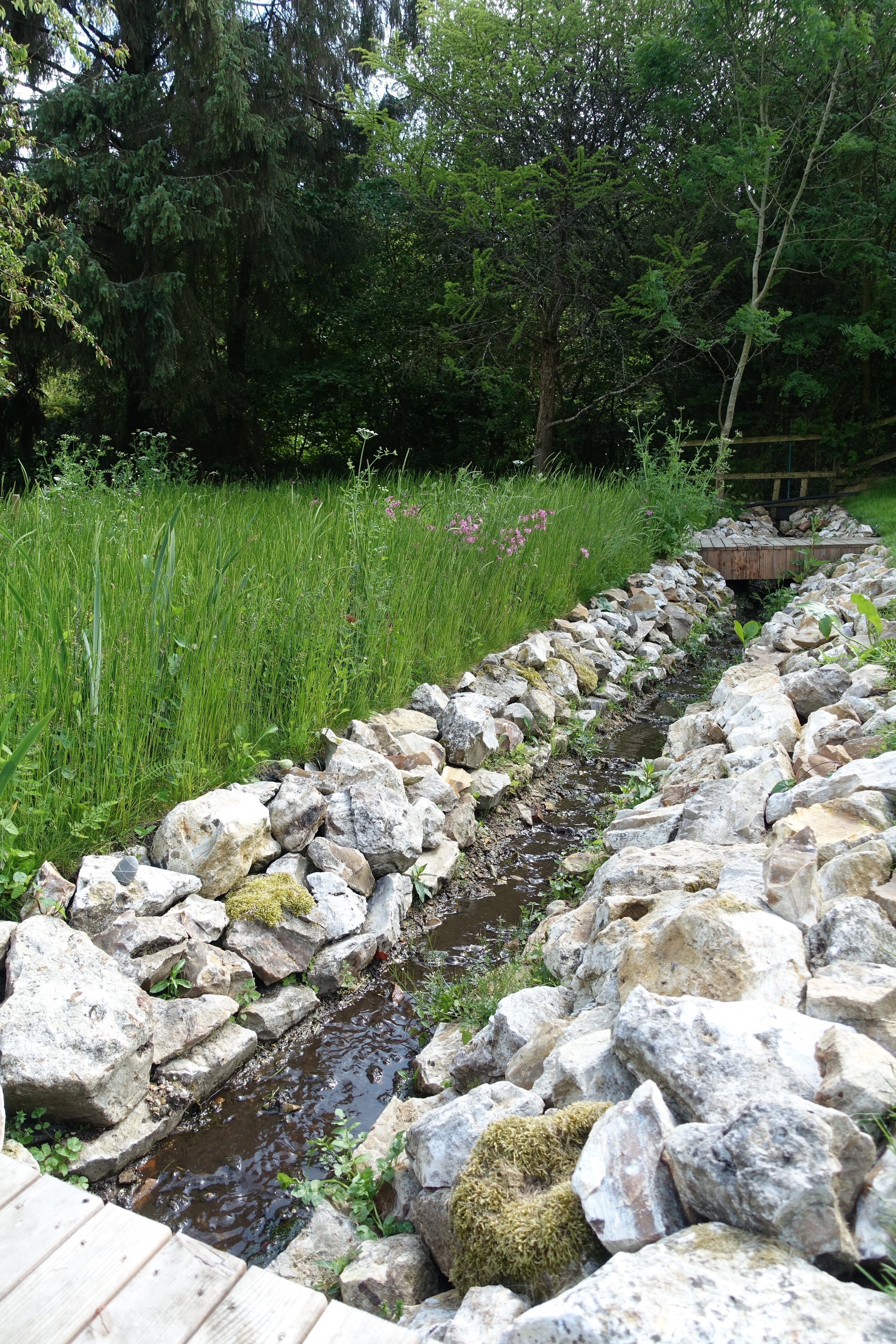 Studio-Supernatural-Newtons-Stream+Meadow.jpg