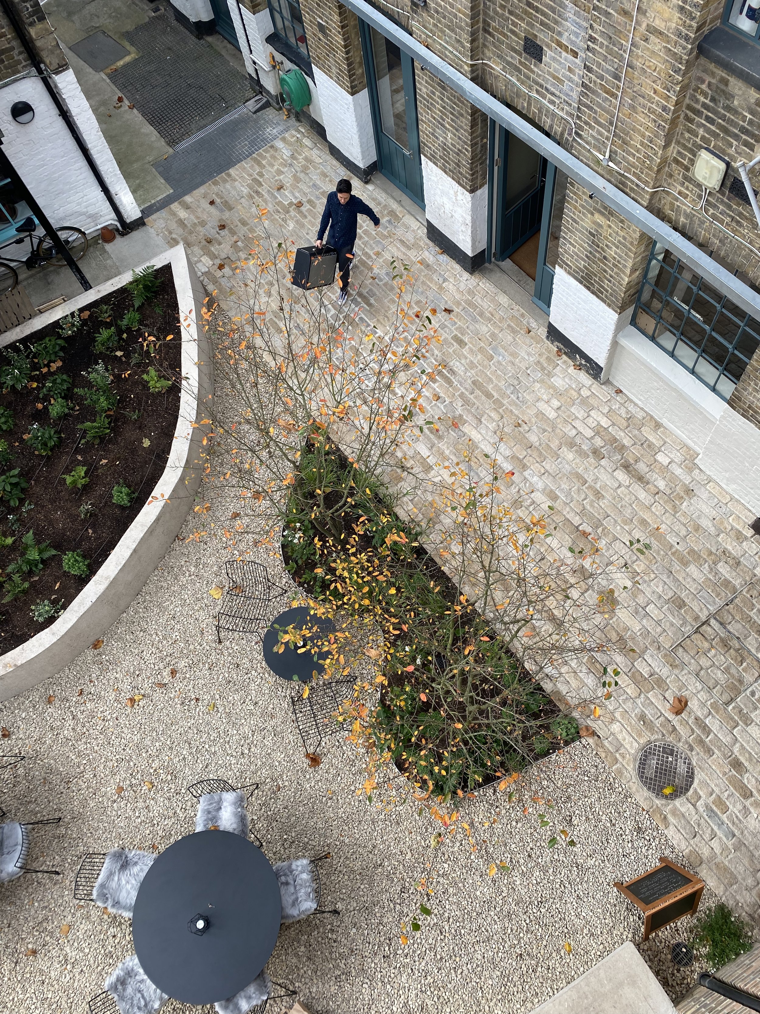 Walters-Yard-Tree-Installation-Studio-Supernatural-8.jpg
