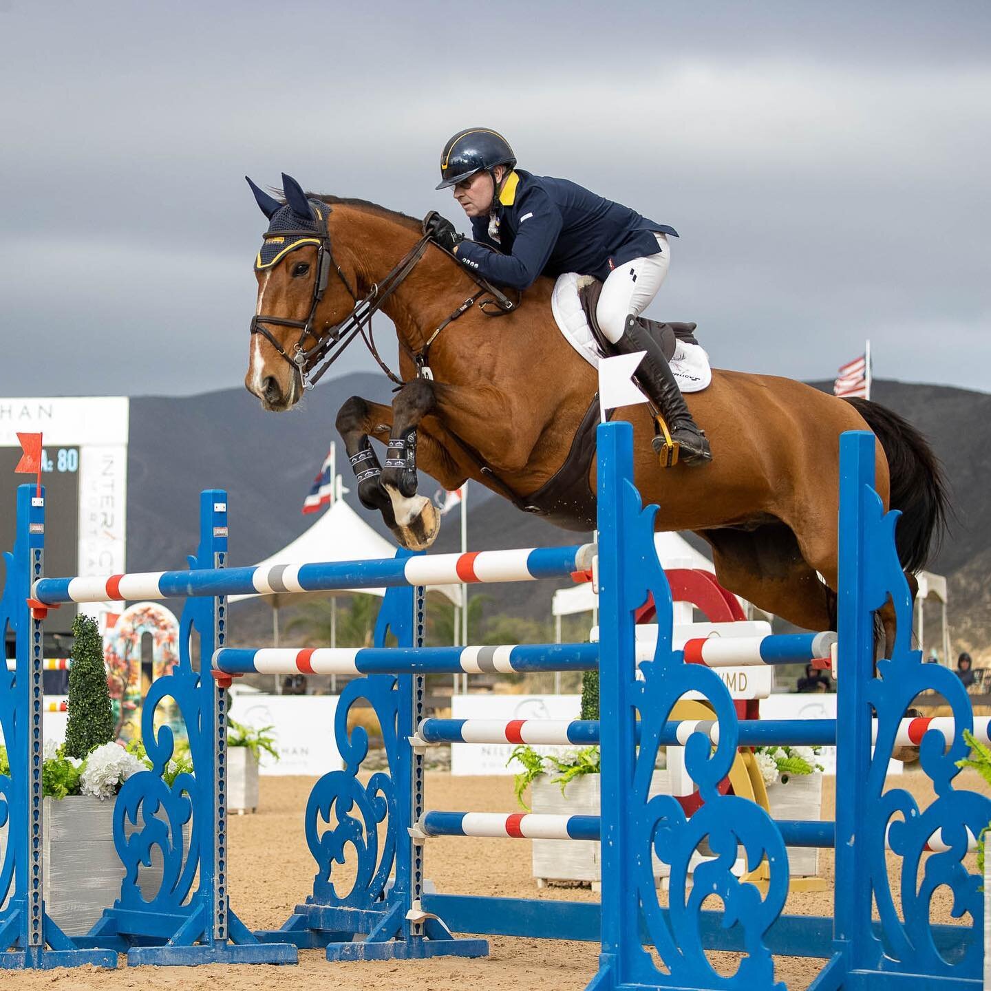 A Skippy throwback to not only showcase our favorite horse but our favorite products! 

Patrick Seaton Stables, LLC is proudly sponsored by @tackwarehouse @activomed_usa @butet_usa @englishridingsupply @hygainfeeds_usa @equineelixirs @heritagegloves 