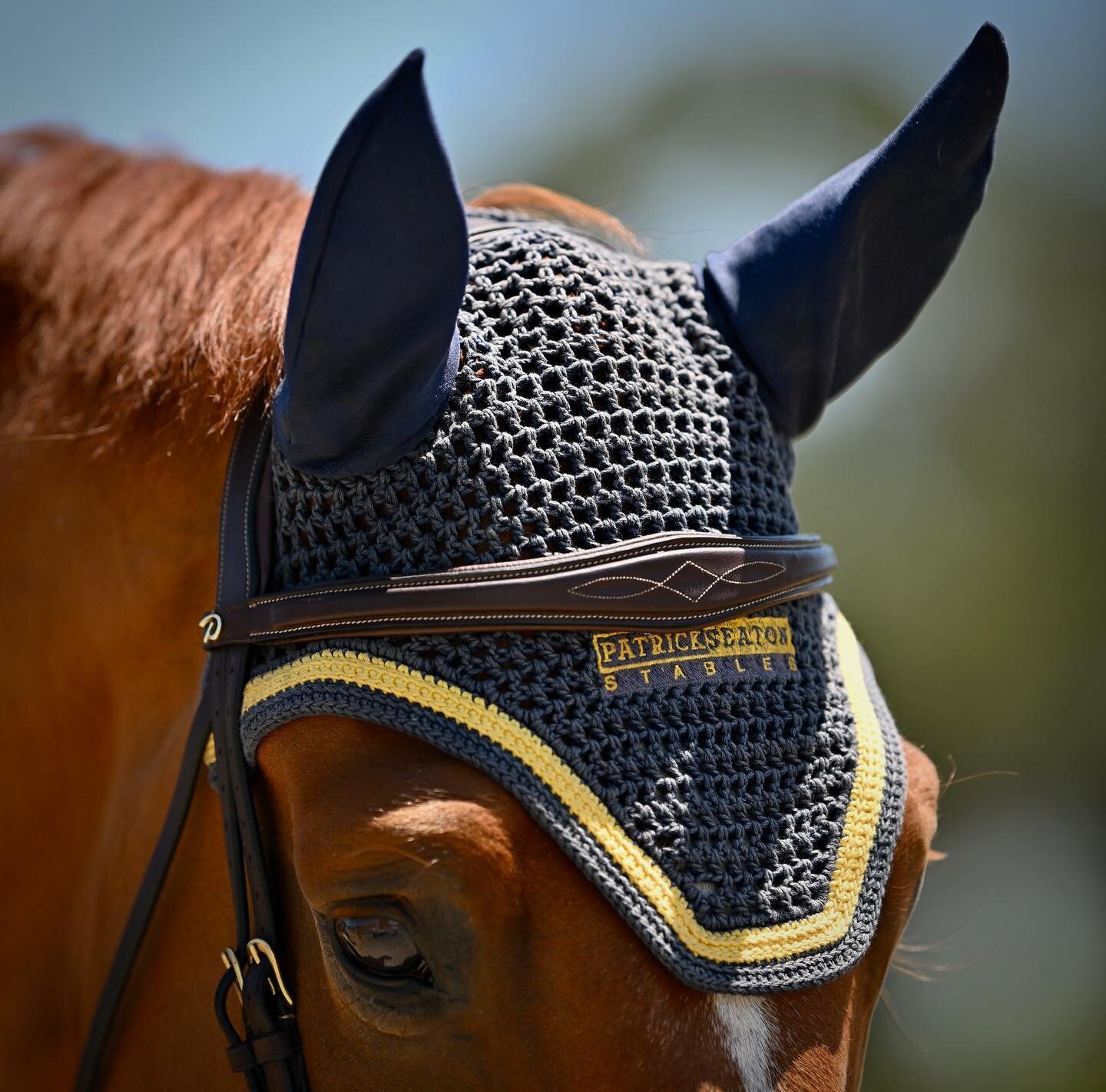 &ldquo;The sun at home warms better than the sun elsewhere.&rdquo;

Enjoying the down time at home after a successful 3 weeks at @sonomahorsepark 💛💙

📸 @alden_corrigan_media