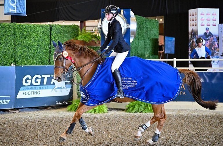 &ldquo;Success isn't always about greatness. It's about consistency. Consistent hard work leads to success. Greatness will come.&rdquo; - Dwayne Johnson

@lainey.r_eq and Arnie at @sacinternationalhorseshow this year 🙌🏼💙💛