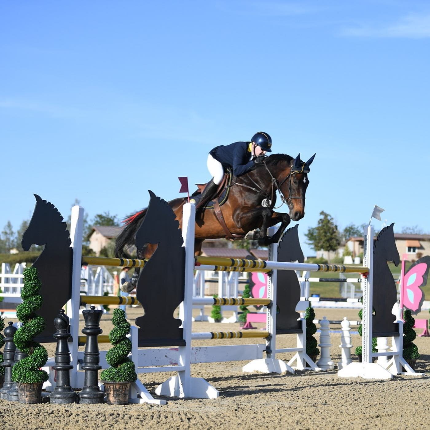 It&rsquo;s almost time to hit the road and get back to our favorite thing to do! 

🔜 @pasorobleshorsepark 

PSS
💙💛
#patrickseatonstables

Patrick Seaton Stables, LLC is proudly sponsored by @tackwarehouse @activomed_usa @butet_usa @englishridingsu