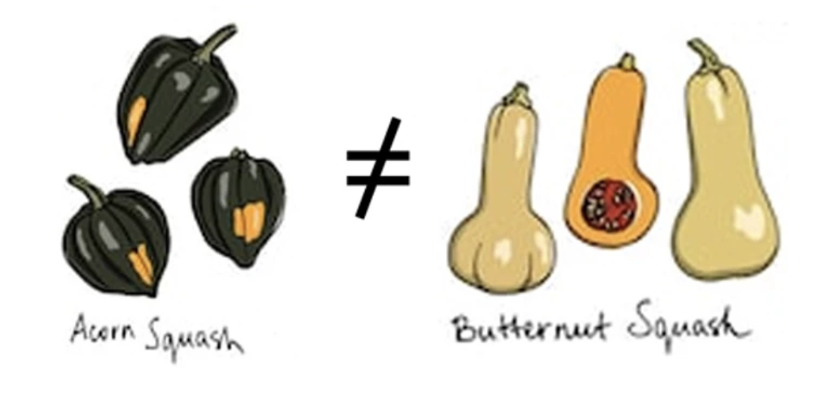 Squashes.png