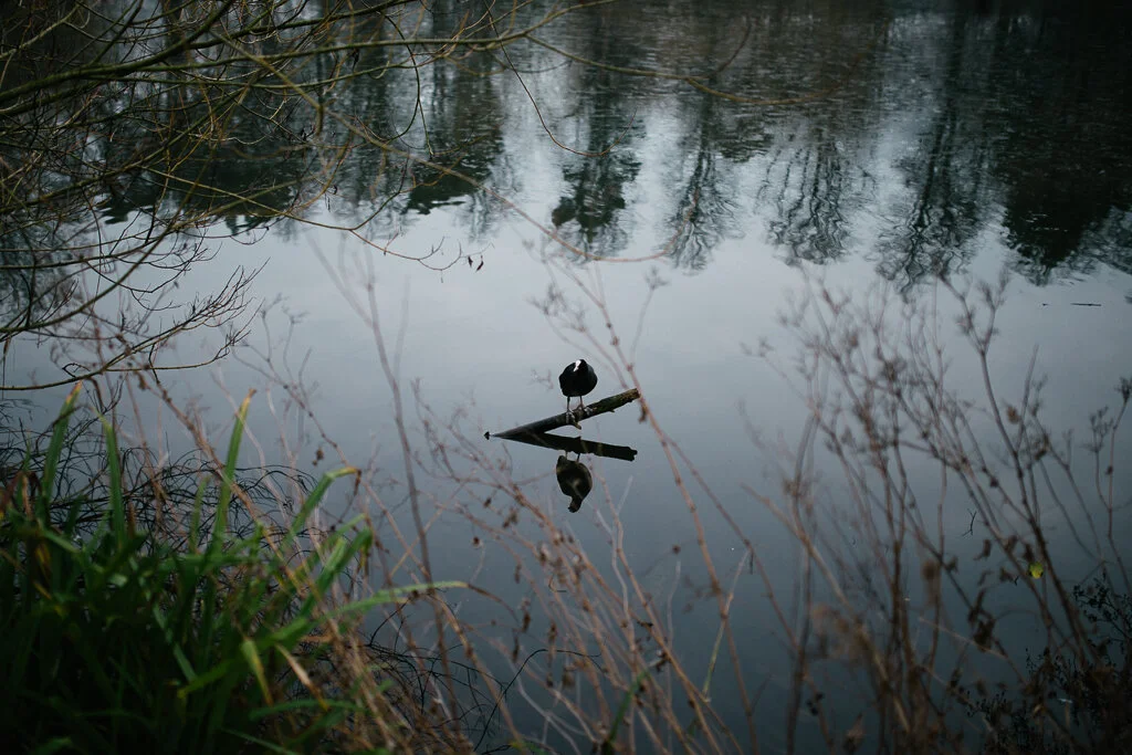 Photography along the waterway (30 June-8 Sep)