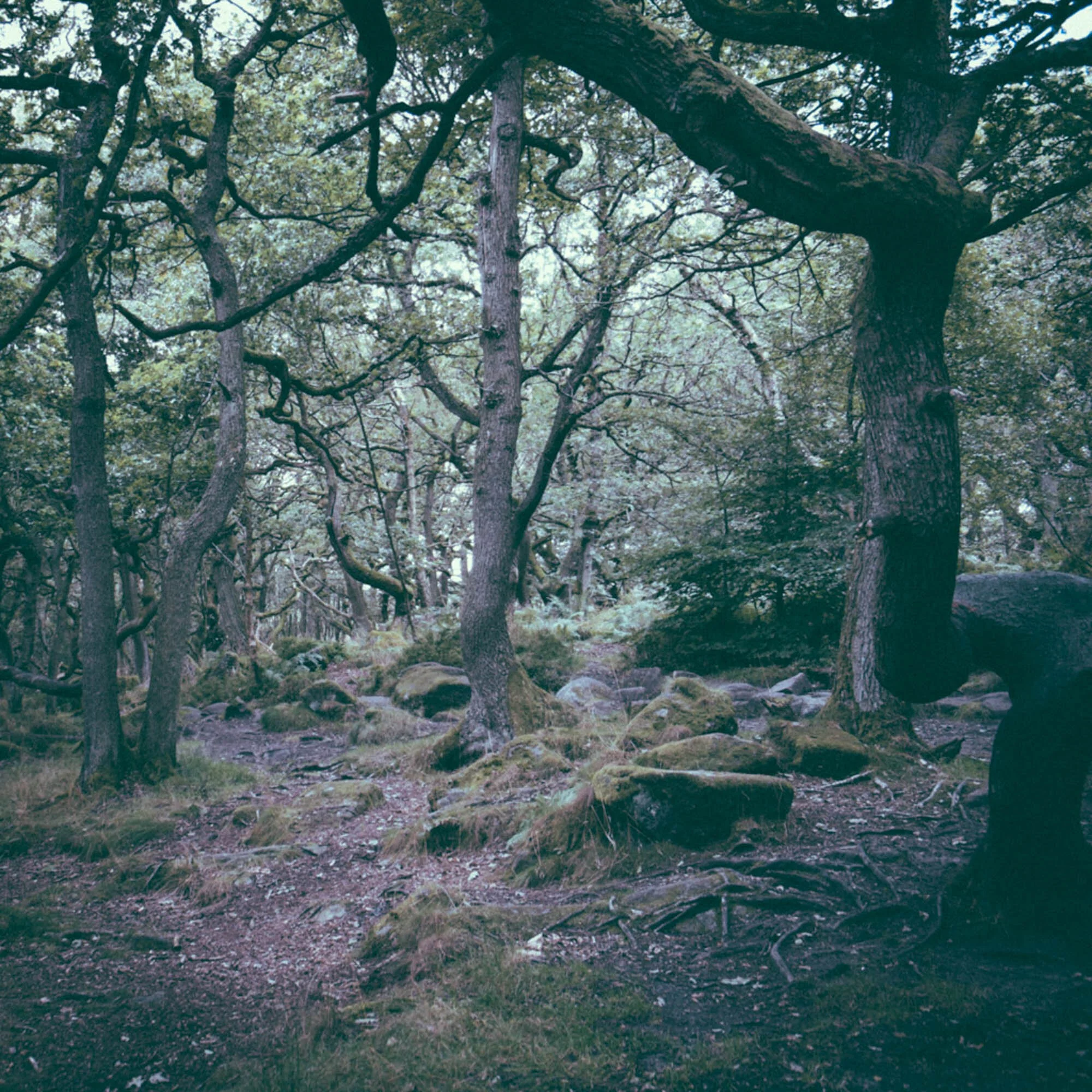 DSCF4829.jpg