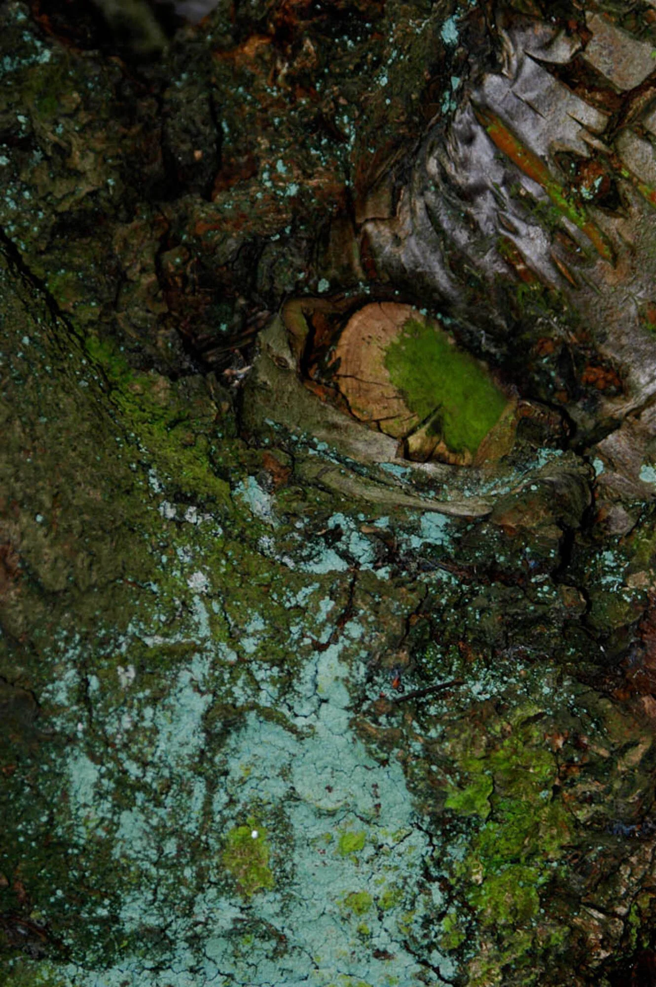 big_spring_2014010-2.jpg