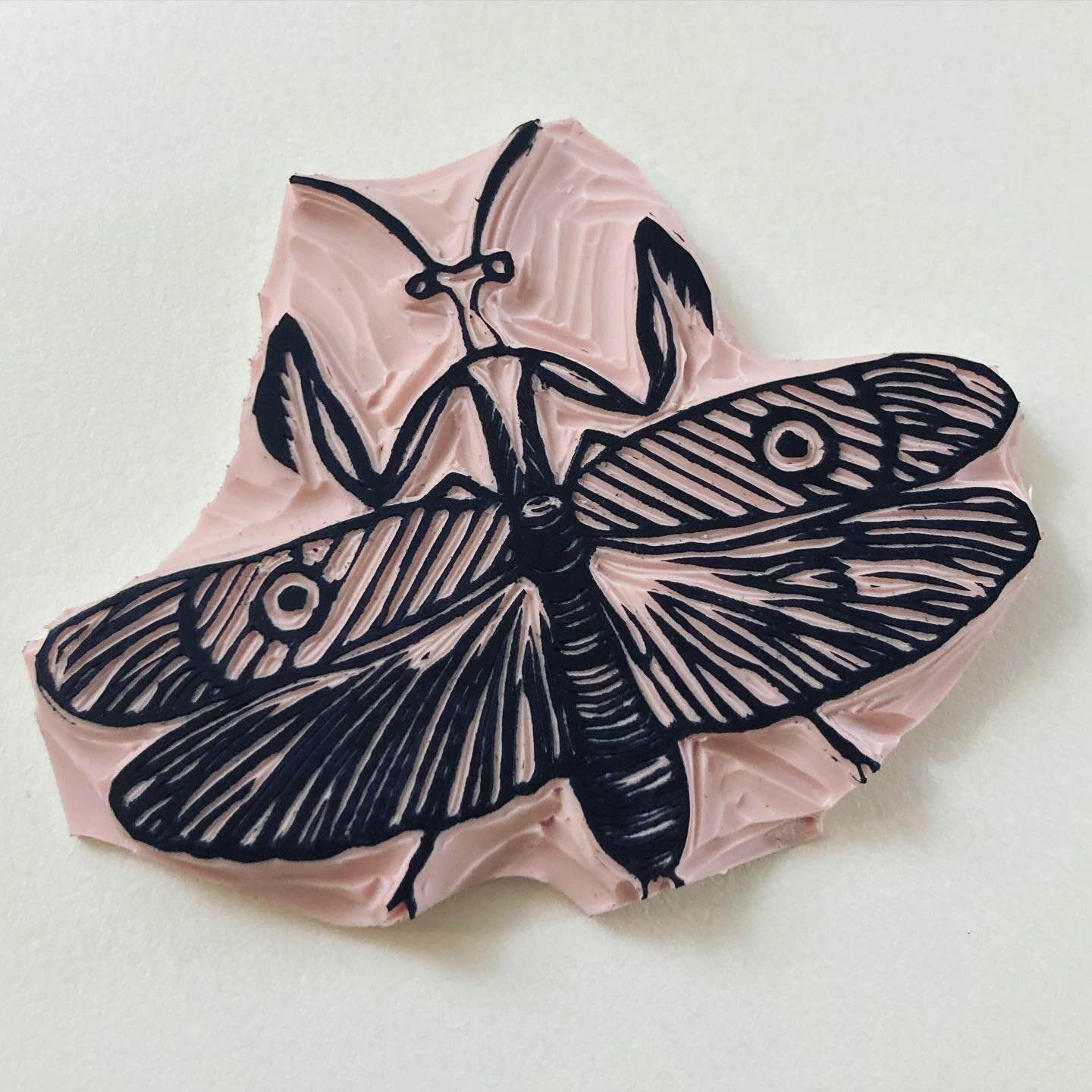 Creepy crawly bugs!! 
.

#printmaking #printmaker #stampmaking #stampmaker #stamps #prints #artprint #patternprint #blockprint #linoprint #printshop #patternmaker #art #artist #womenmakers #femaleprintmaker #femaleartist #handmade #homemade #bugs #in