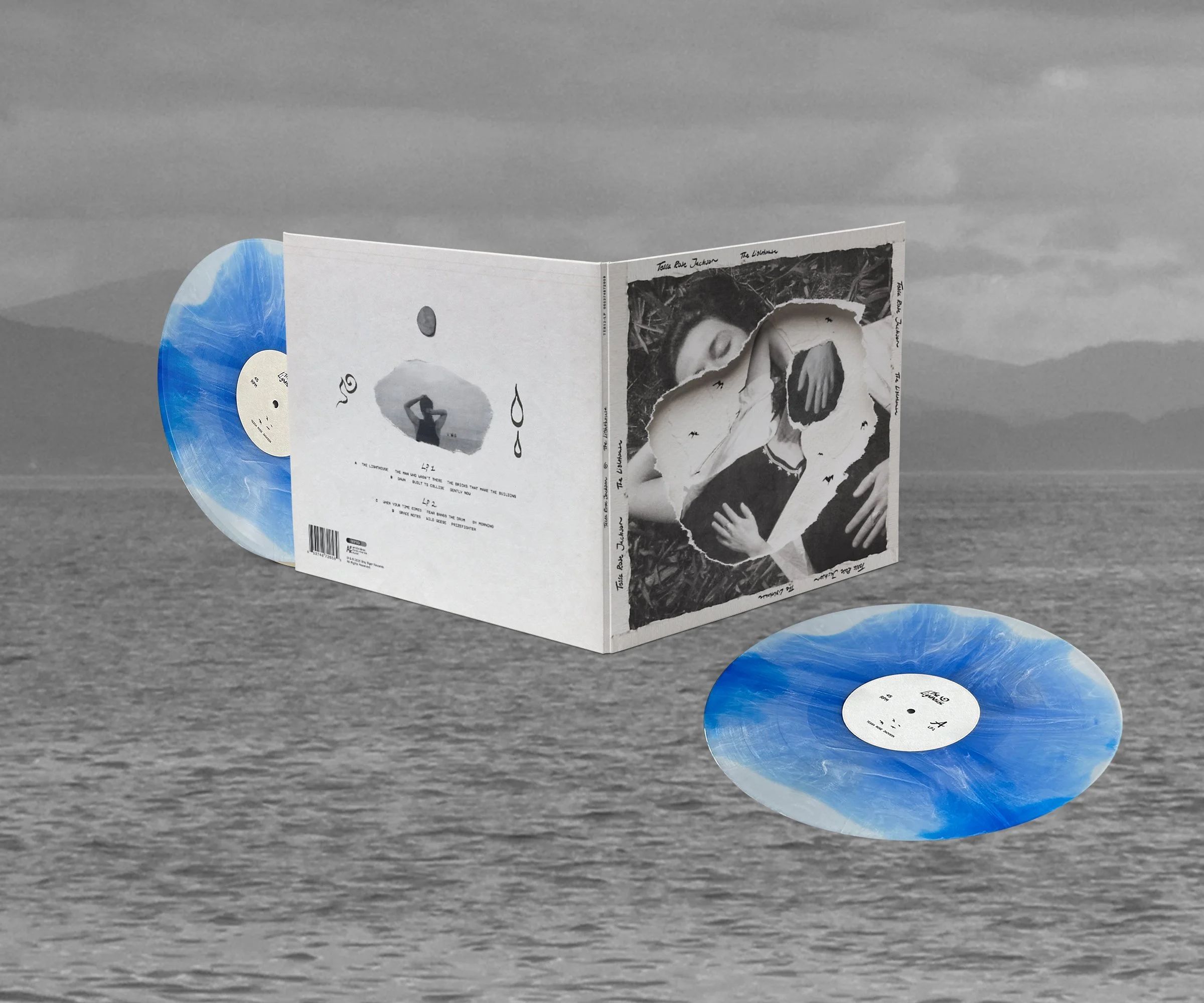 Vinyl Record PSD MockUp v5.jpg