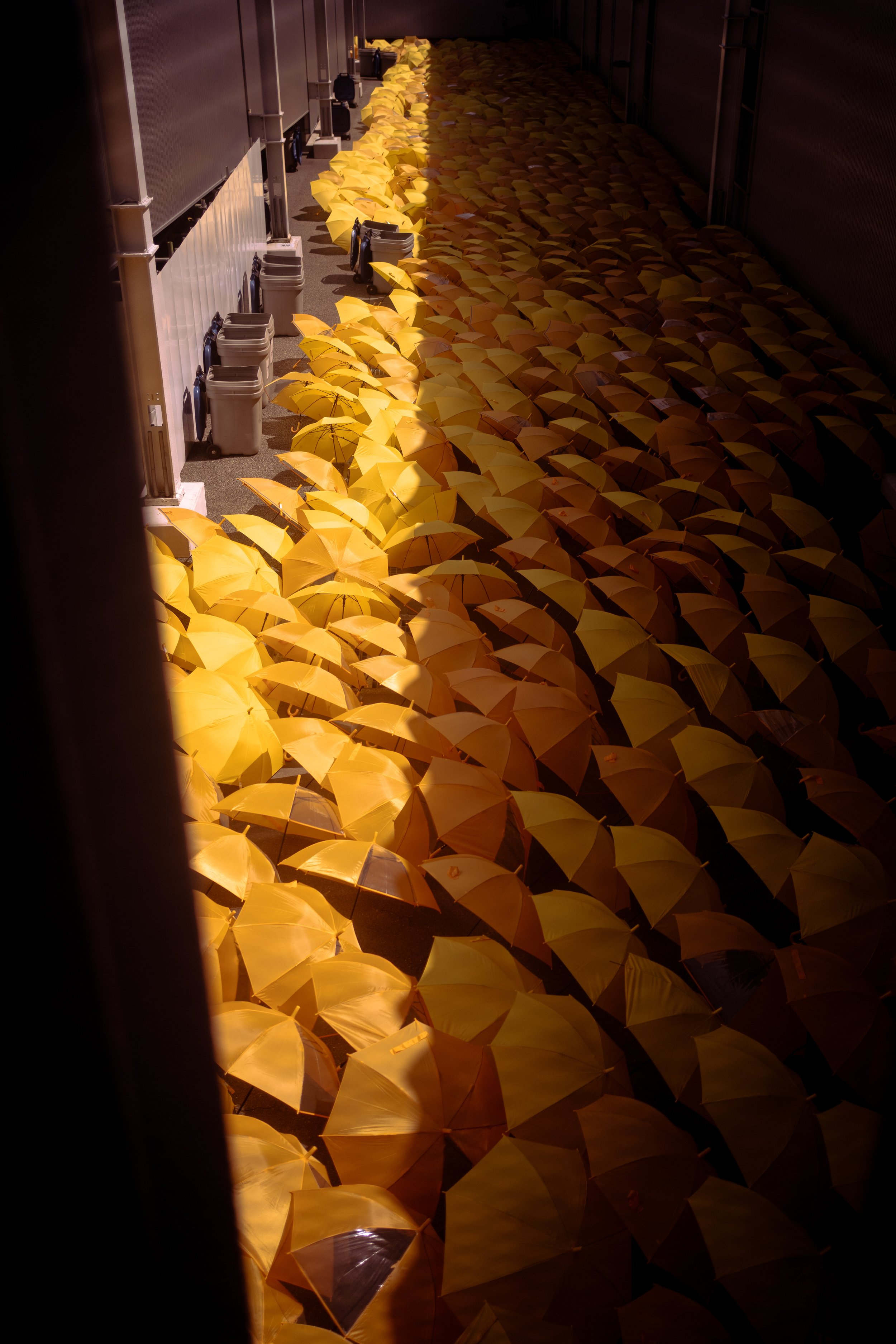 DSC02415.jpg