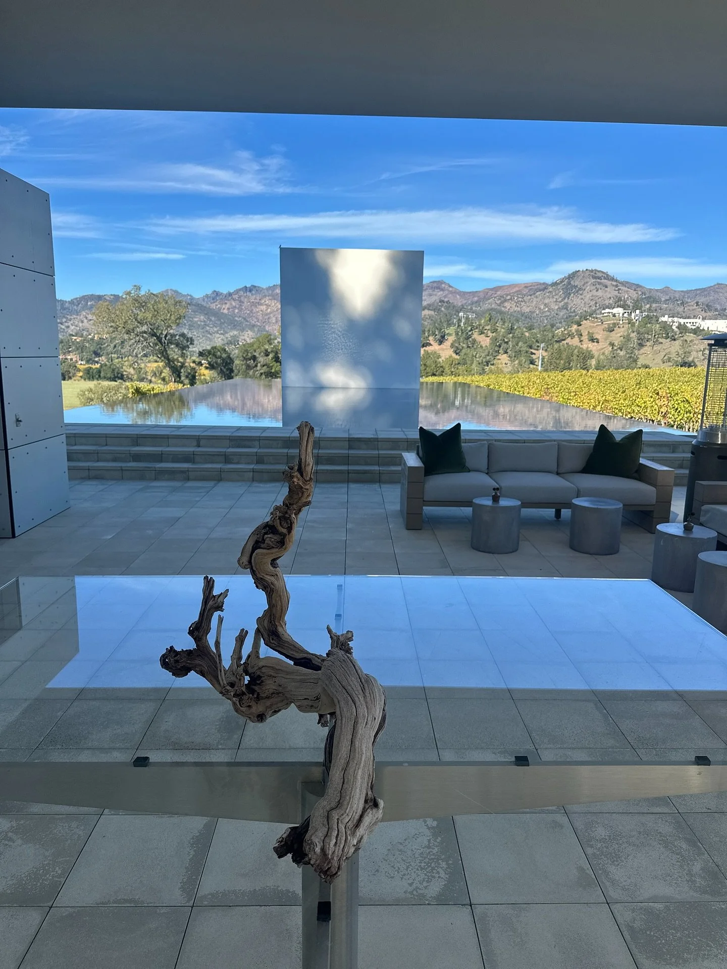 I love that I get to see places in Napa Valley that nobody knows exist. My job takes me to these most amazing places in Napa Sonoma if you&rsquo;d like to see some of them, please get a hold of me at perrytours.com. We can help design a wonderful unf