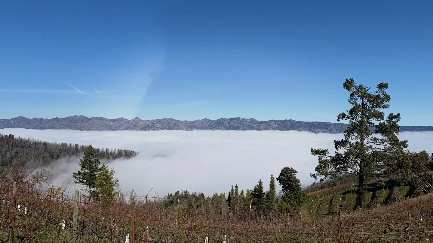 There's nothing quite like being above the fog line on a day like today, with the valley sprawling out below. If you're ready for a fun and unique adventure in Napa or Sonoma, let's connect and craft some memories that will last a lifetime. Perrystou