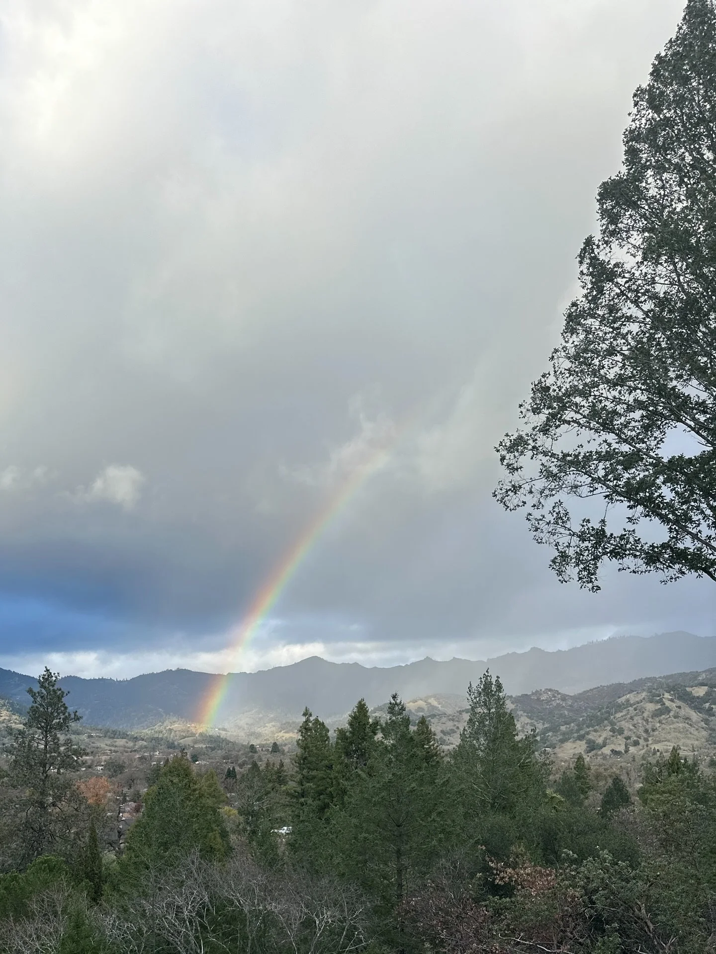 Winter, Spring, Summer, or Fall, all you need to do is call Perry's Tours to experience the best of Napa or Sonoma wine country, we'll take care of the rest! #napa #sonoma #wine #winelover #winery