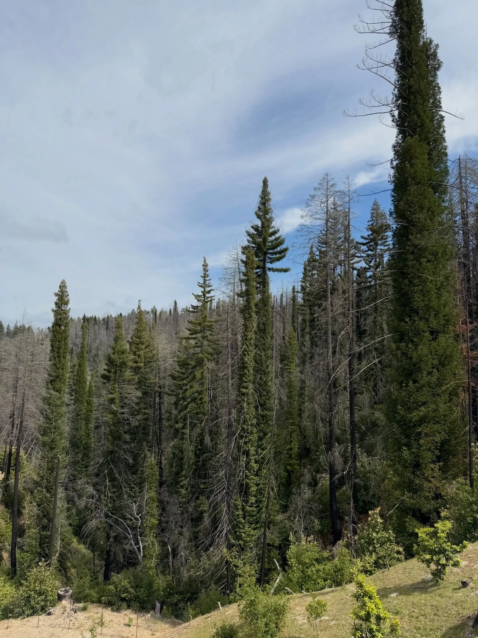 Today is a reminder of how fortunate I am to live in such an incredible place and do what I love every day. I'm also in awe of Mother Nature's resilience - this mountain was ravaged by fires in 2020, but look at it now, thriving and stunning. #offthe