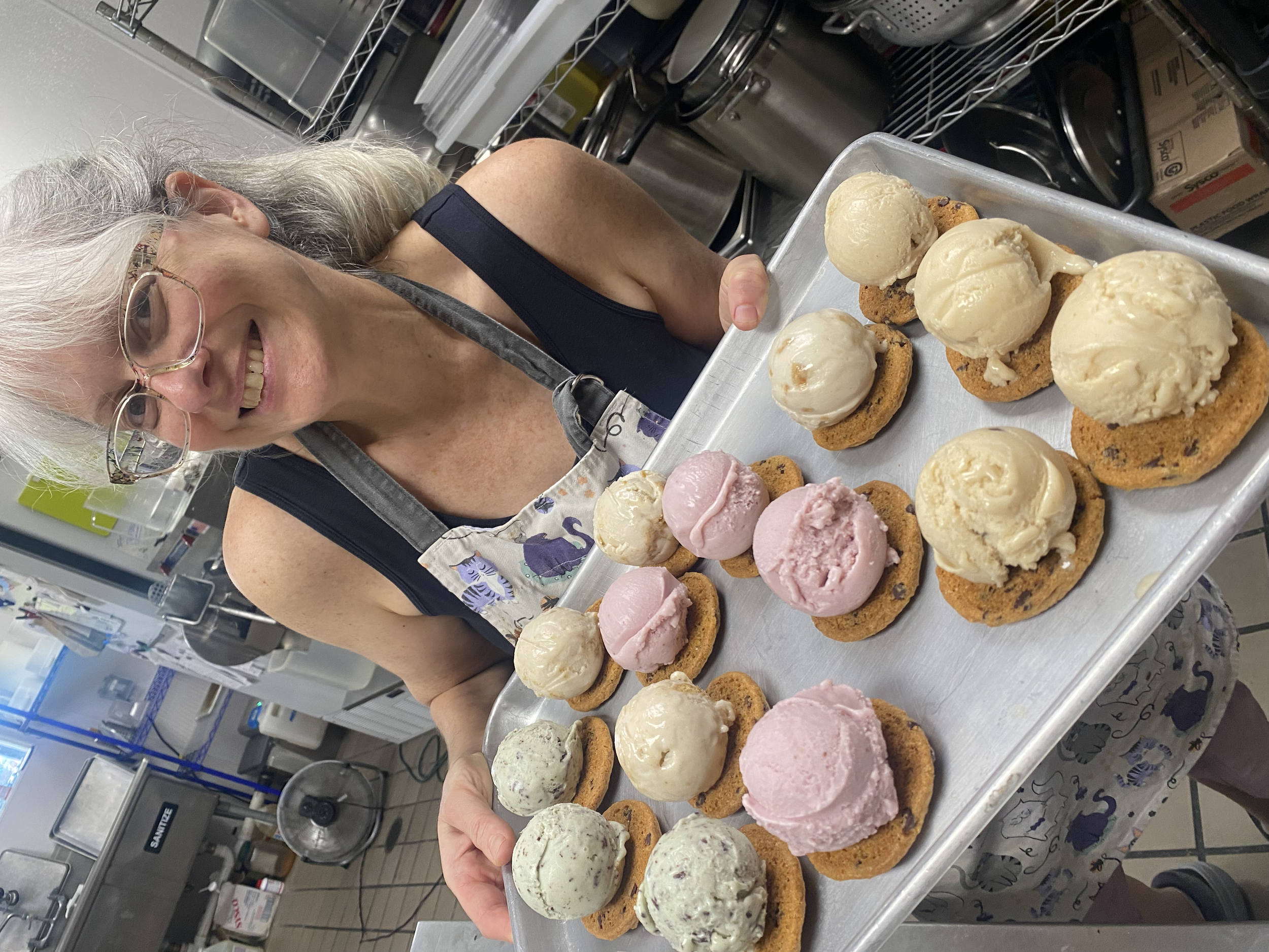 Dairy Free & Gluten Free Mini Ice Cream Sandwiches