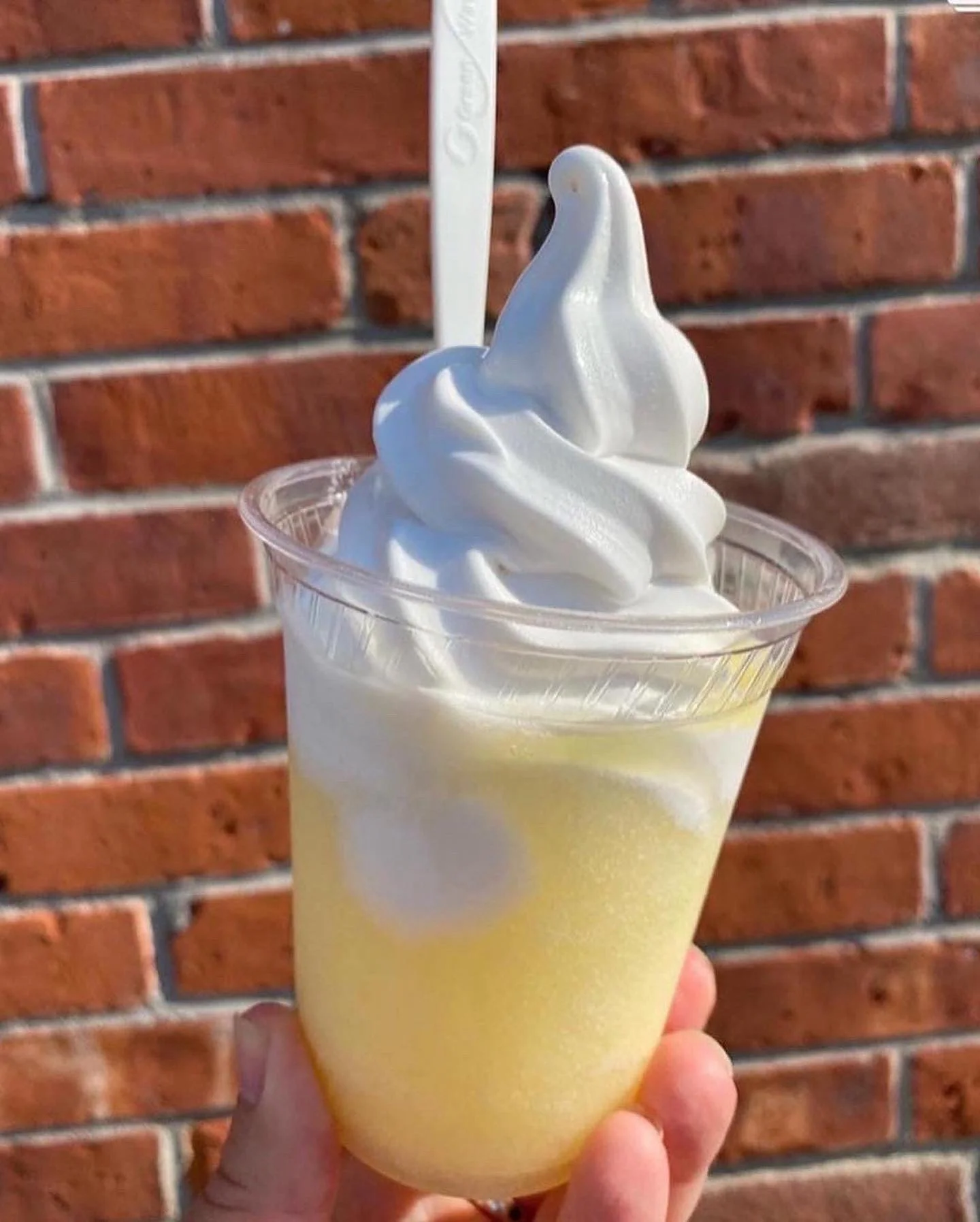 Try Your RI Style Frozen Lemonade A La Mode!