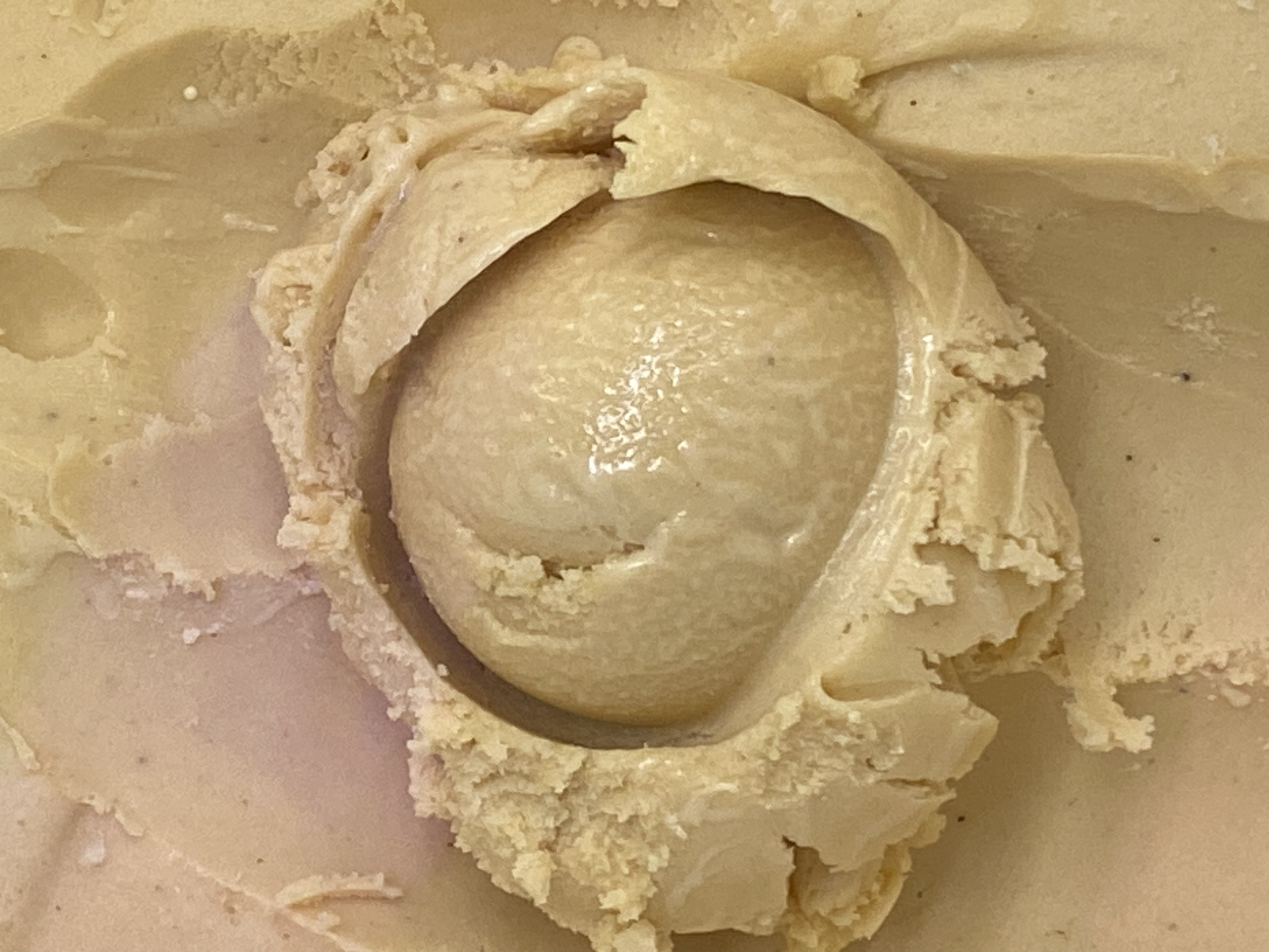 Dairy Free RI Style Coffee Milk Ice Cream