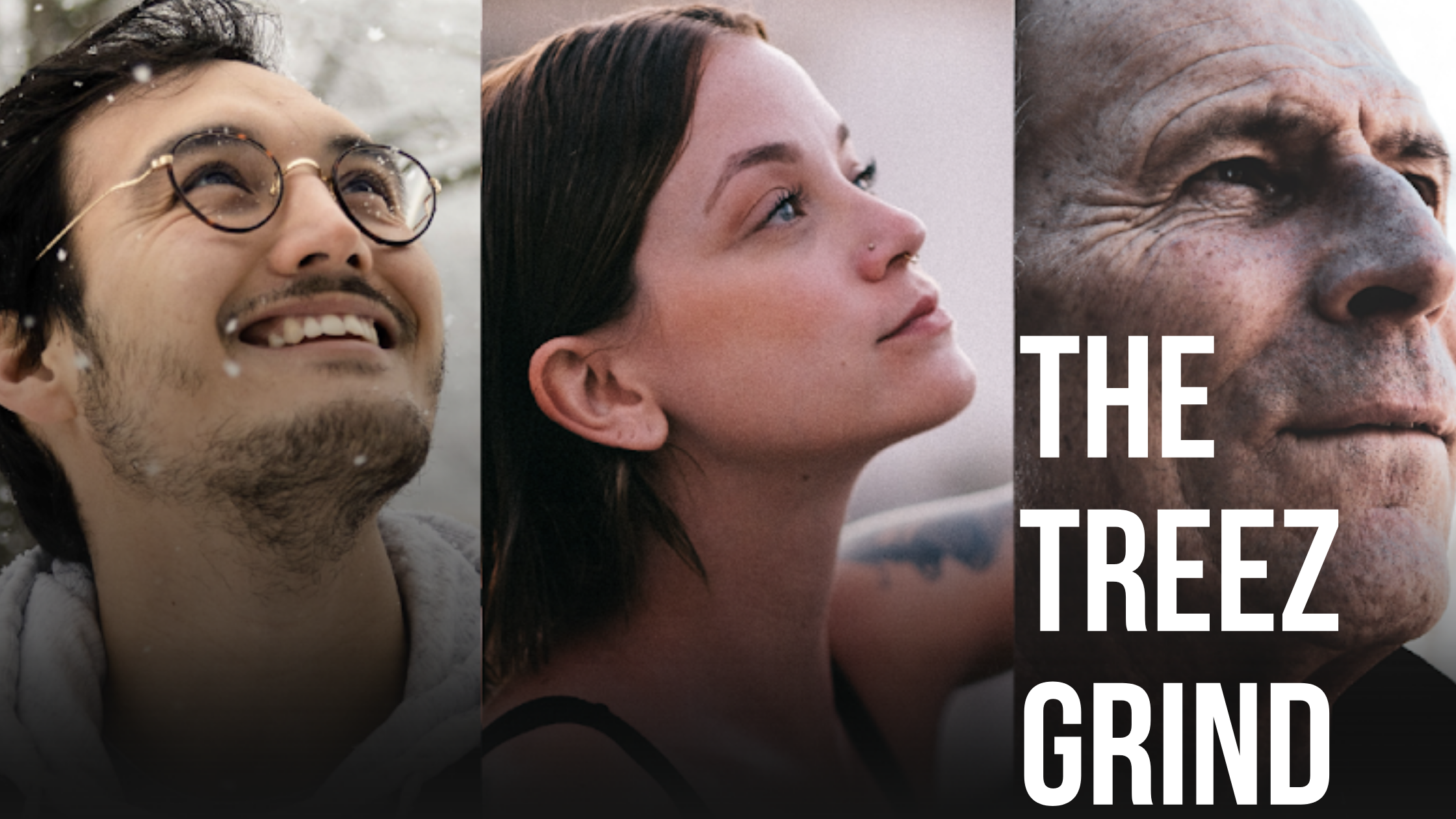 The Treez Grind: Nov 2020 Edition