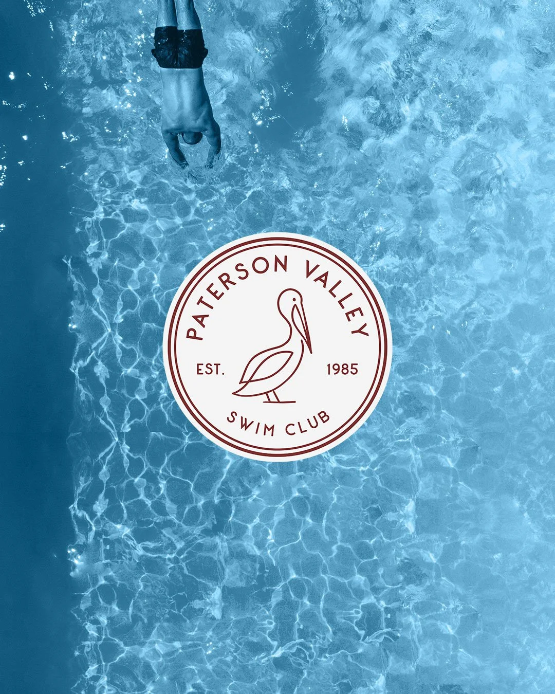 A little sneak peek at a current work in progress 👀 I am loving working on this project, a new website + logo design for the Paterson Valley Swim Club 🏊&zwj;♀️ 

The identity is inspired by the pelican sculptures around Paterson, creating something