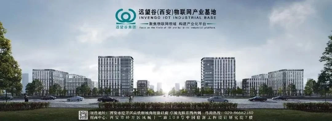Summary of investment attraction cases