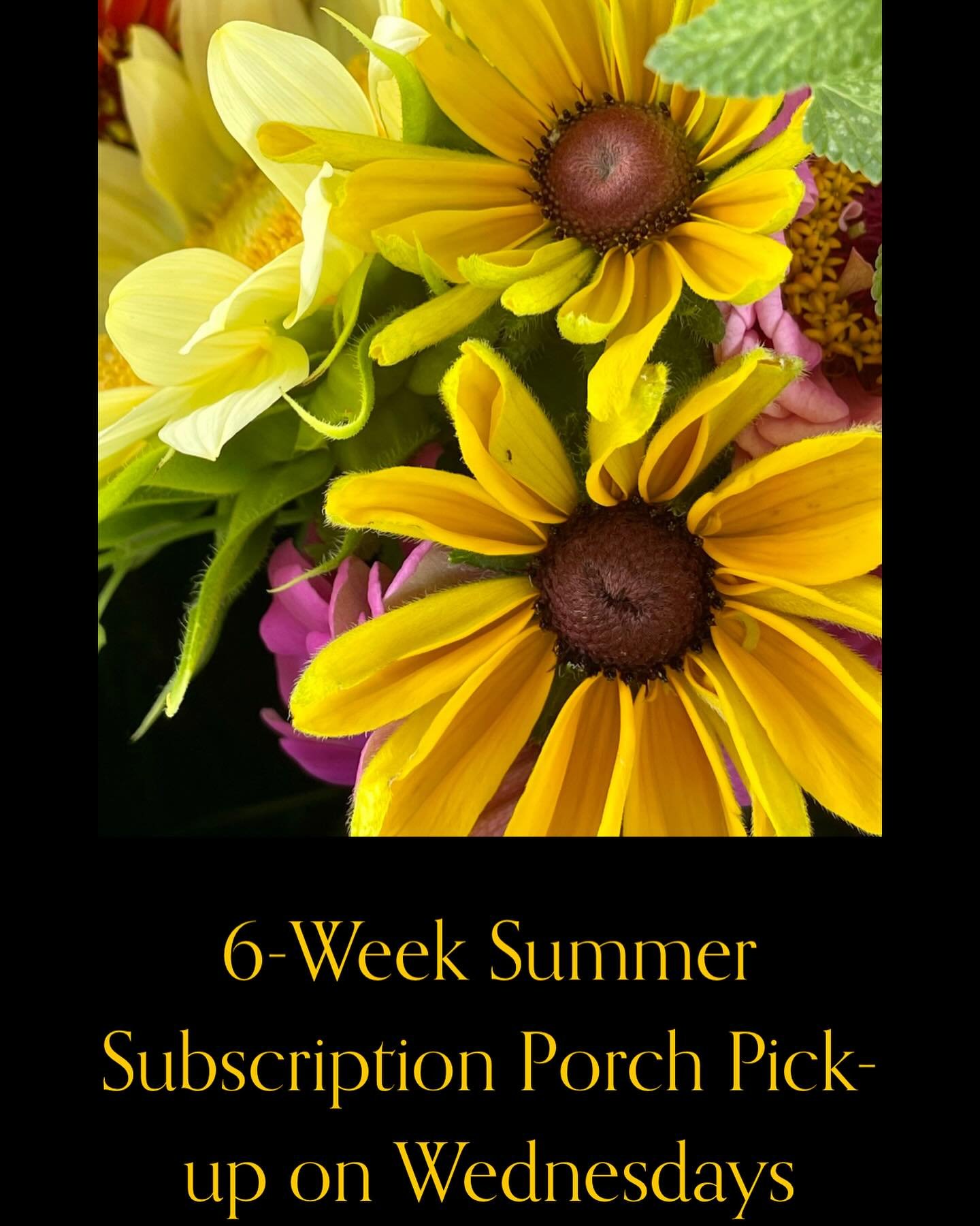 So excited to say that Saturday subscriptions have SOLD OUT! But no worries if you still want to get Mom SIX bouquets of flowers for Mother&rsquo;s Day. Six-week summer subscriptions are now available for pick-up on Wednesdays. Head to the website an