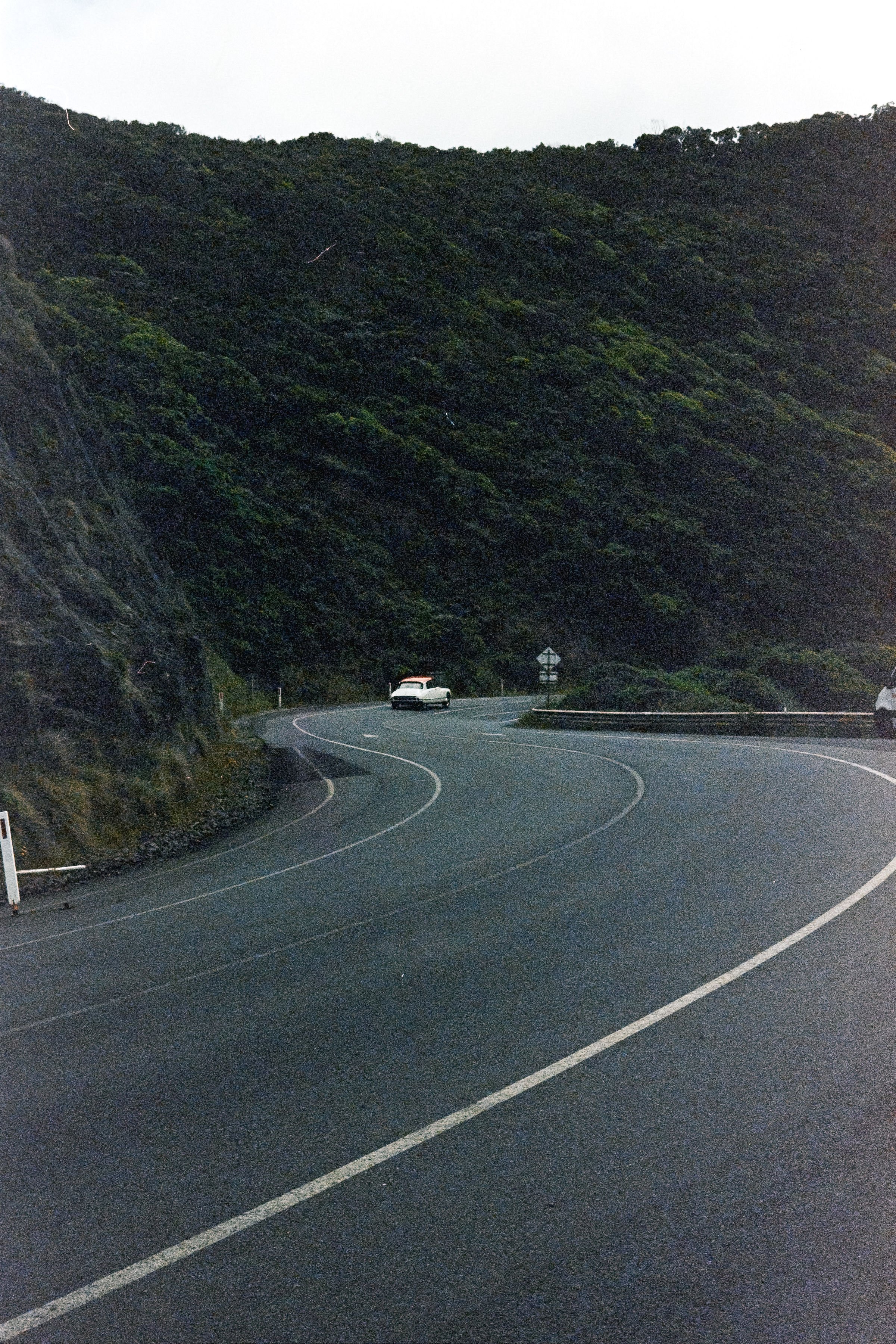 Doyle-Roll1(23of36).jpg