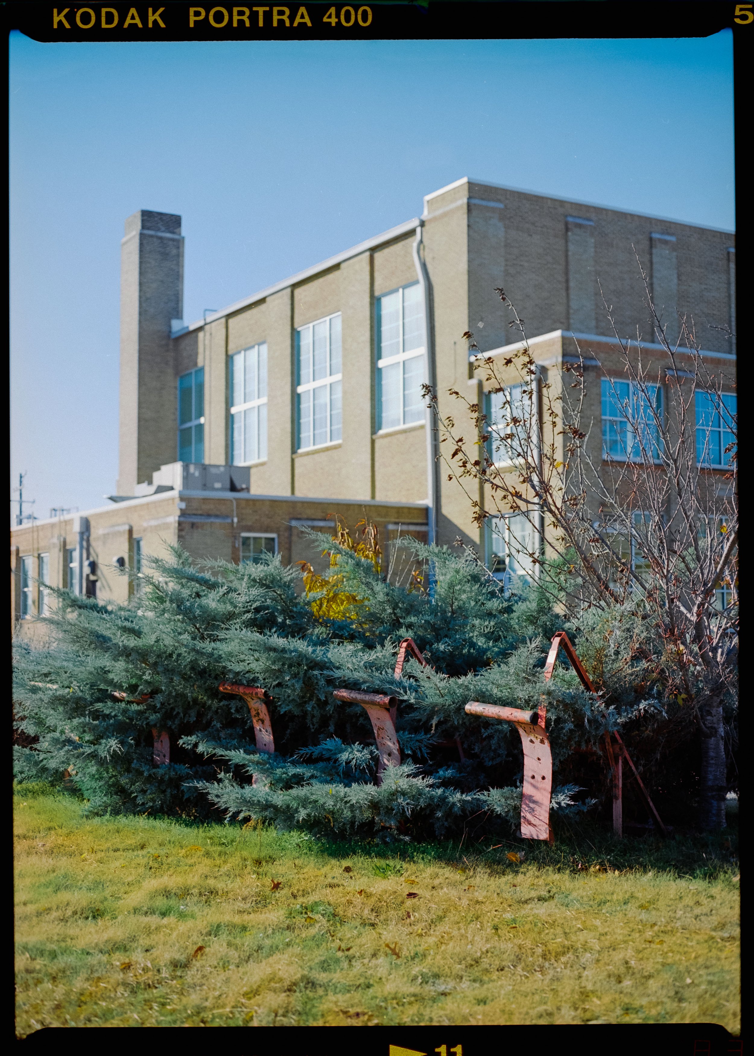 Film-5.jpg