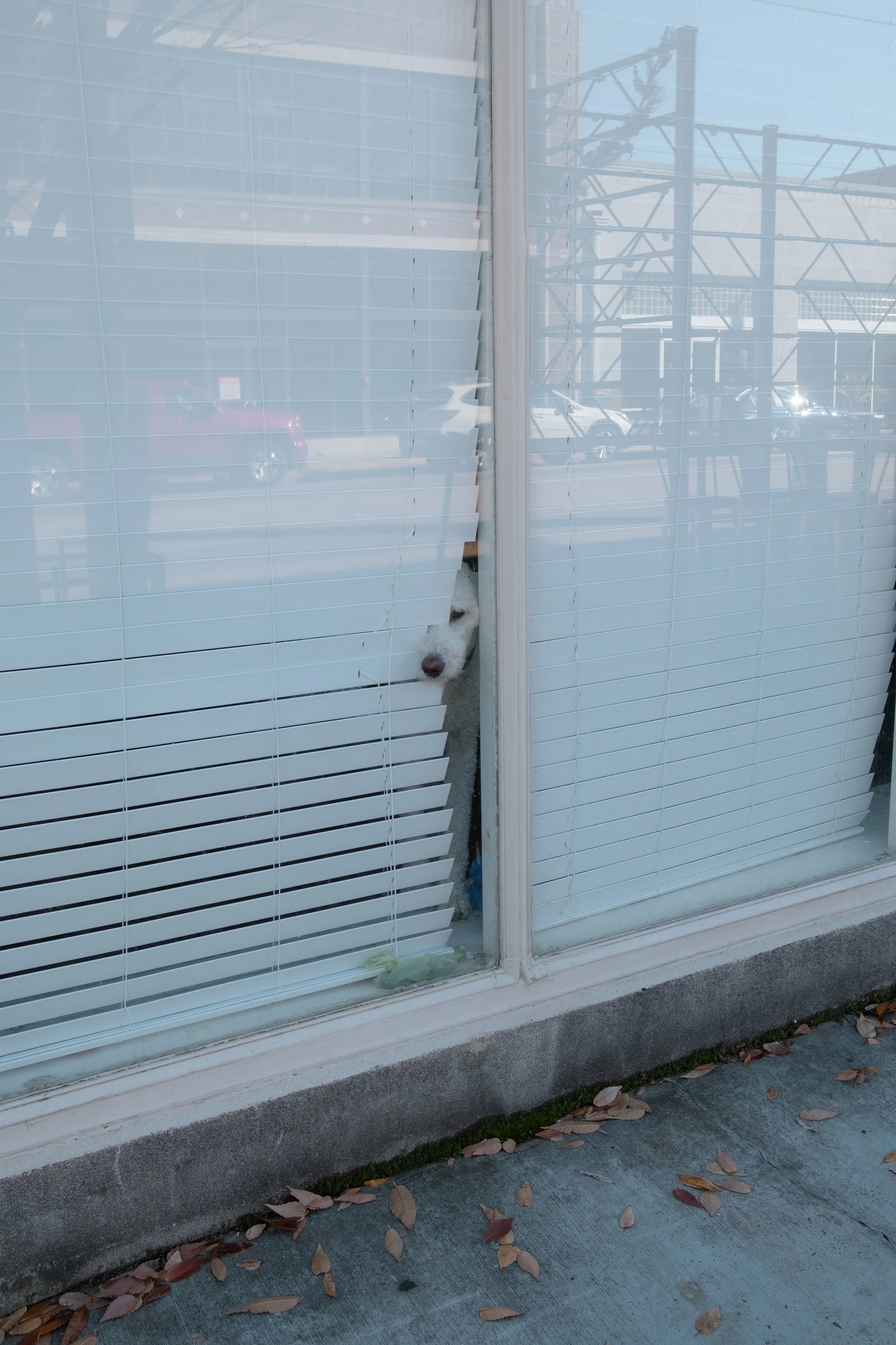 Downtown Memphis - DEC 2020-15.JPG