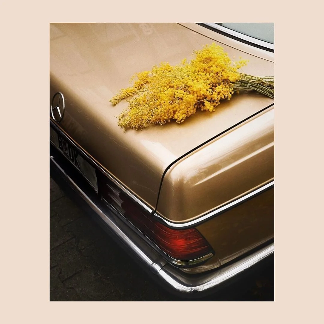 Mondays are for mandatory wattle stops 💛