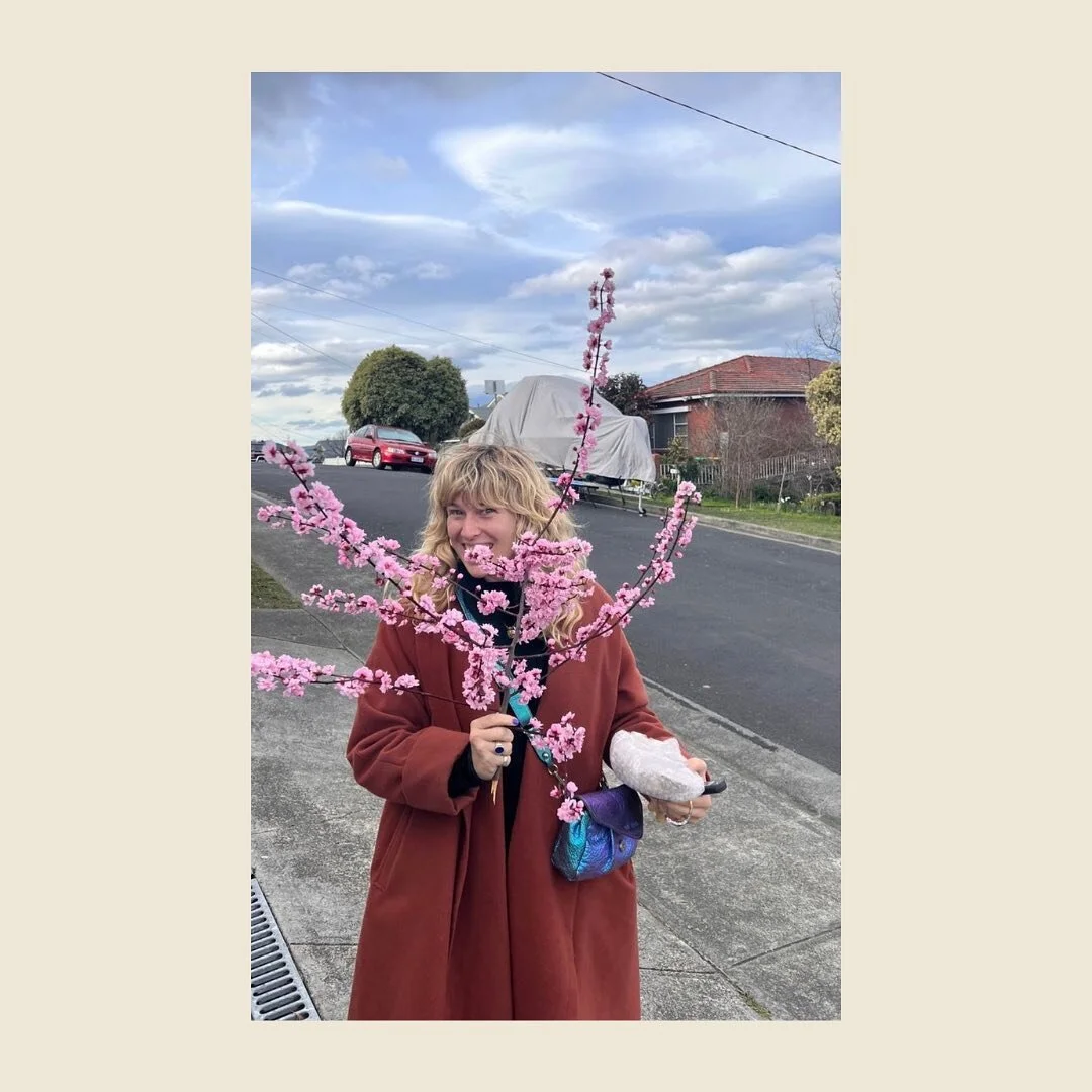 I've never met a blossom I didn't love 🌸🌸🌸🌸🌸🌸🌸🌸🌸🌸🌸🌸🌸🌸🌸🌸🌸🌸🌸